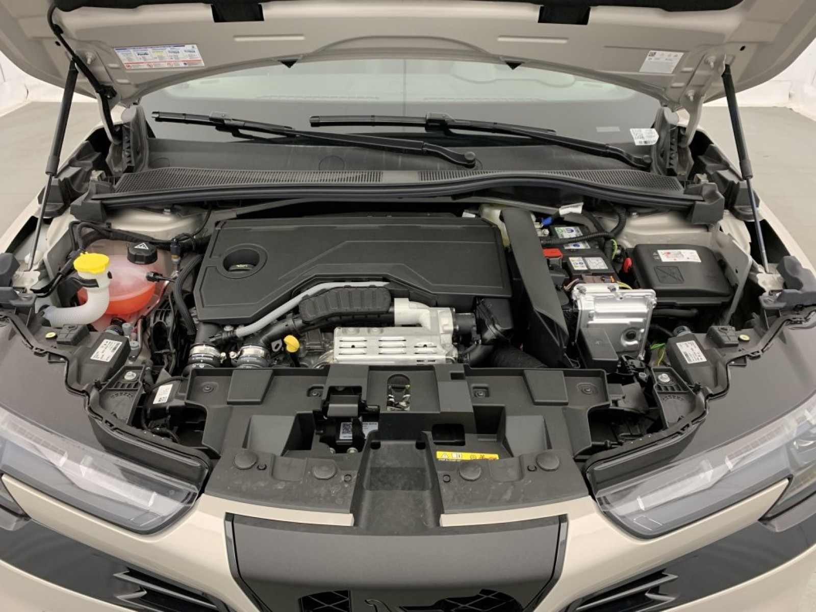 ALFA ROMEO - Junior - #846395 - 21