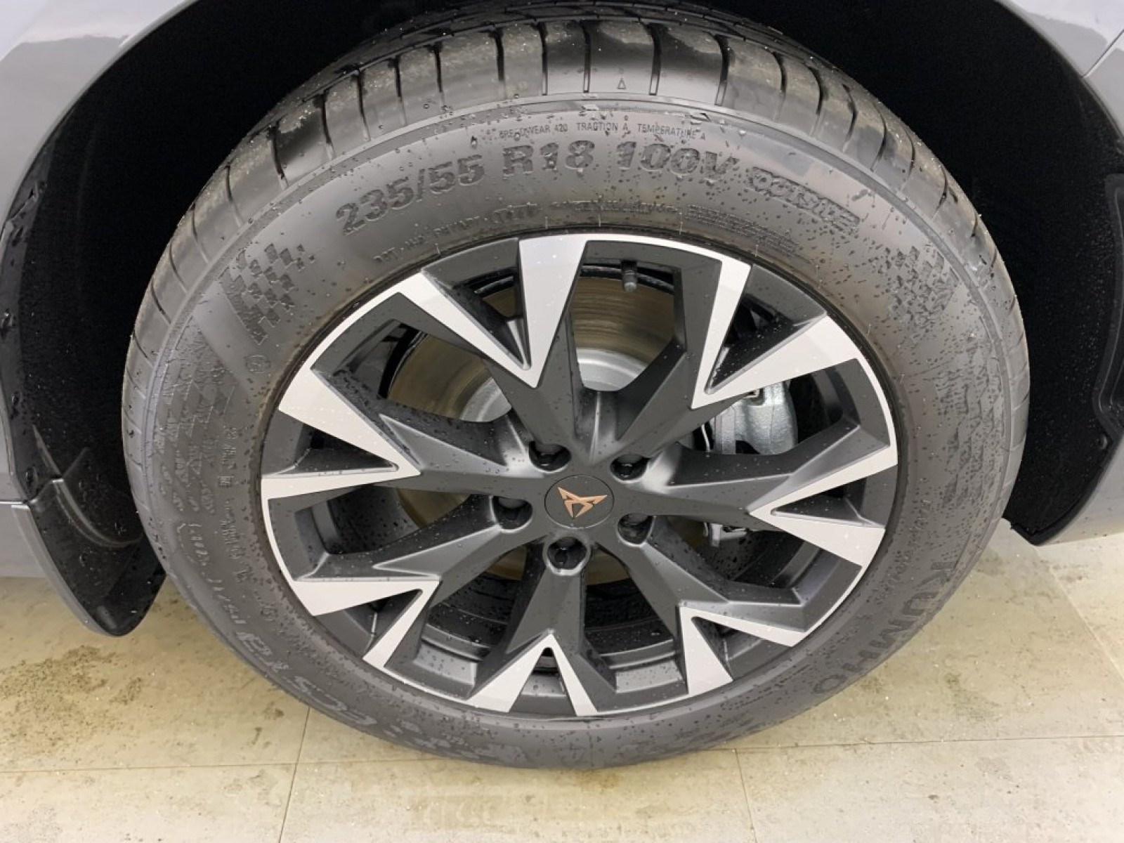 CUPRA - Terramar - #839740 - 23