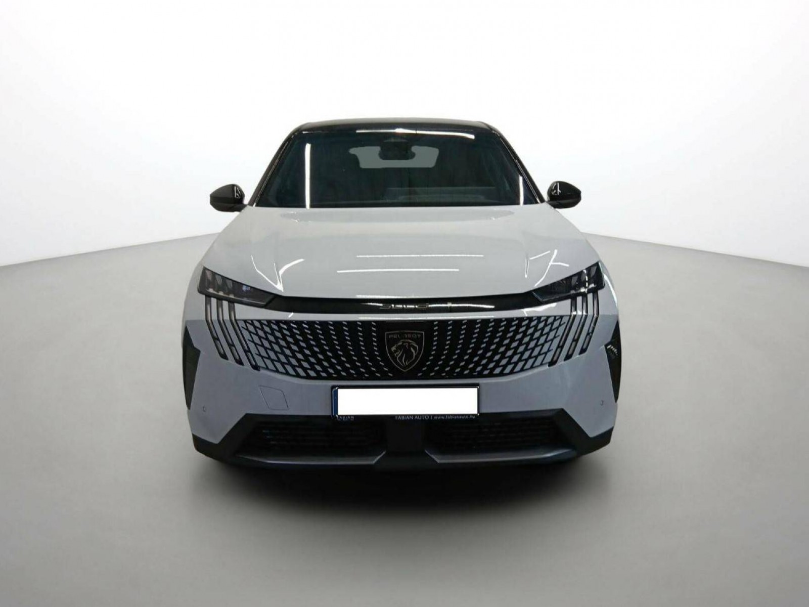 PEUGEOT - 3008 - #543295 - 4