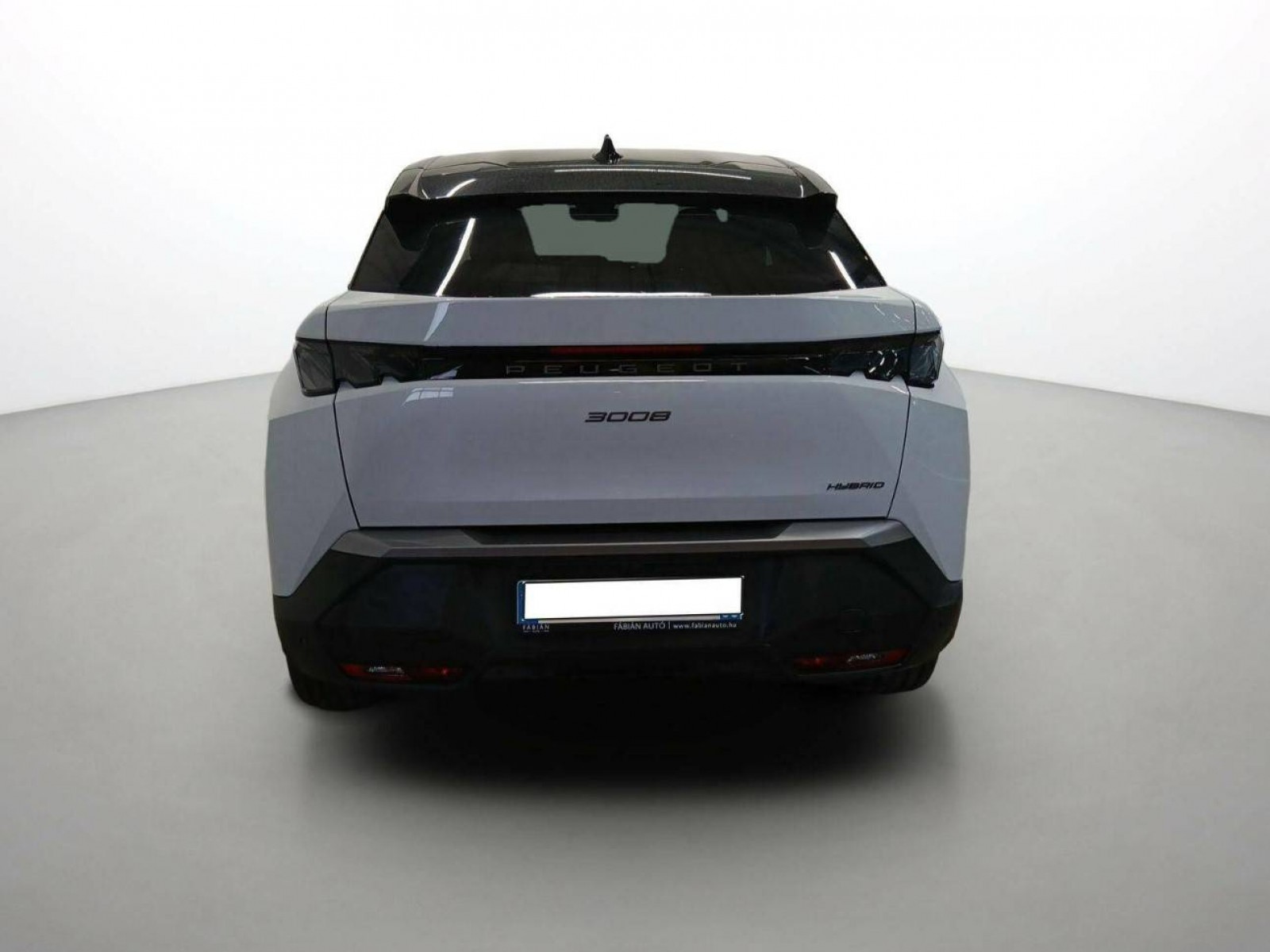PEUGEOT - 3008 - #543295 - 5