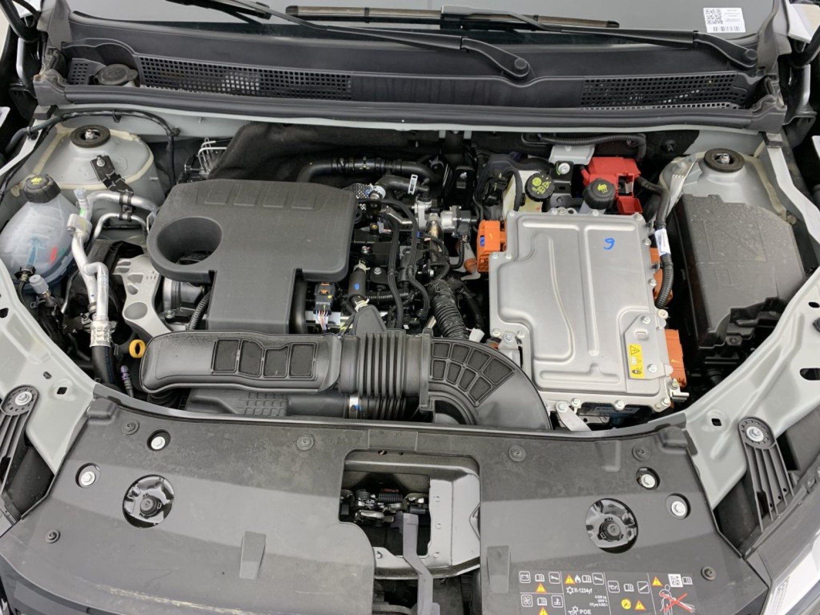 DACIA - Jogger - #842545 - 471