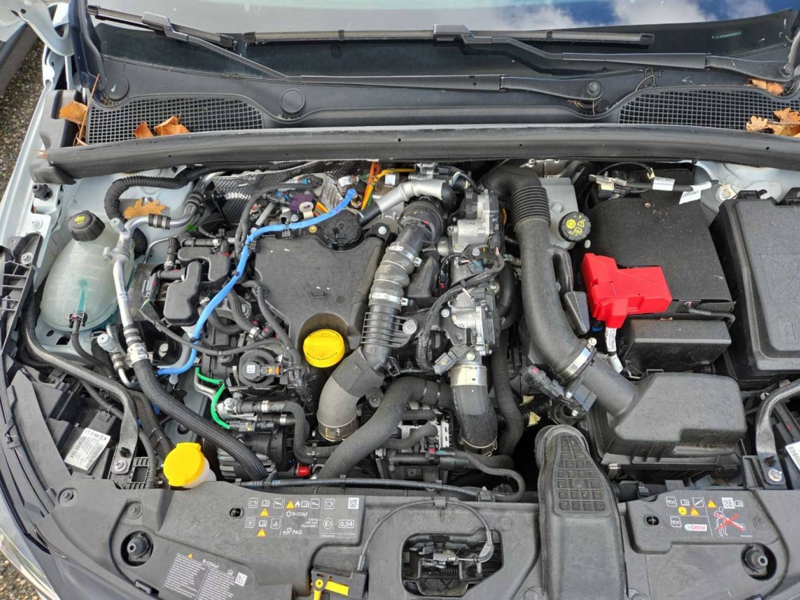 RENAULT - CLIO V - #848647 - 15