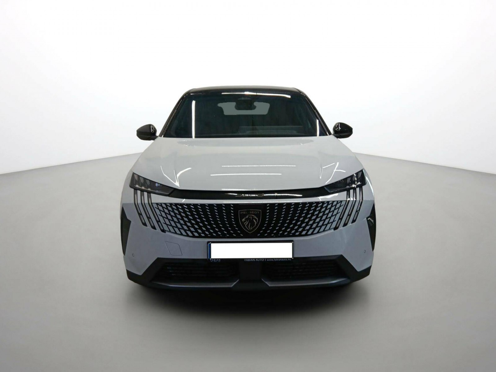 PEUGEOT - 3008 - #841981 - 3