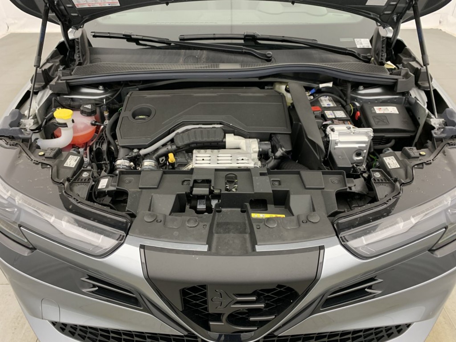 ALFA ROMEO - Junior - #851093 - 23