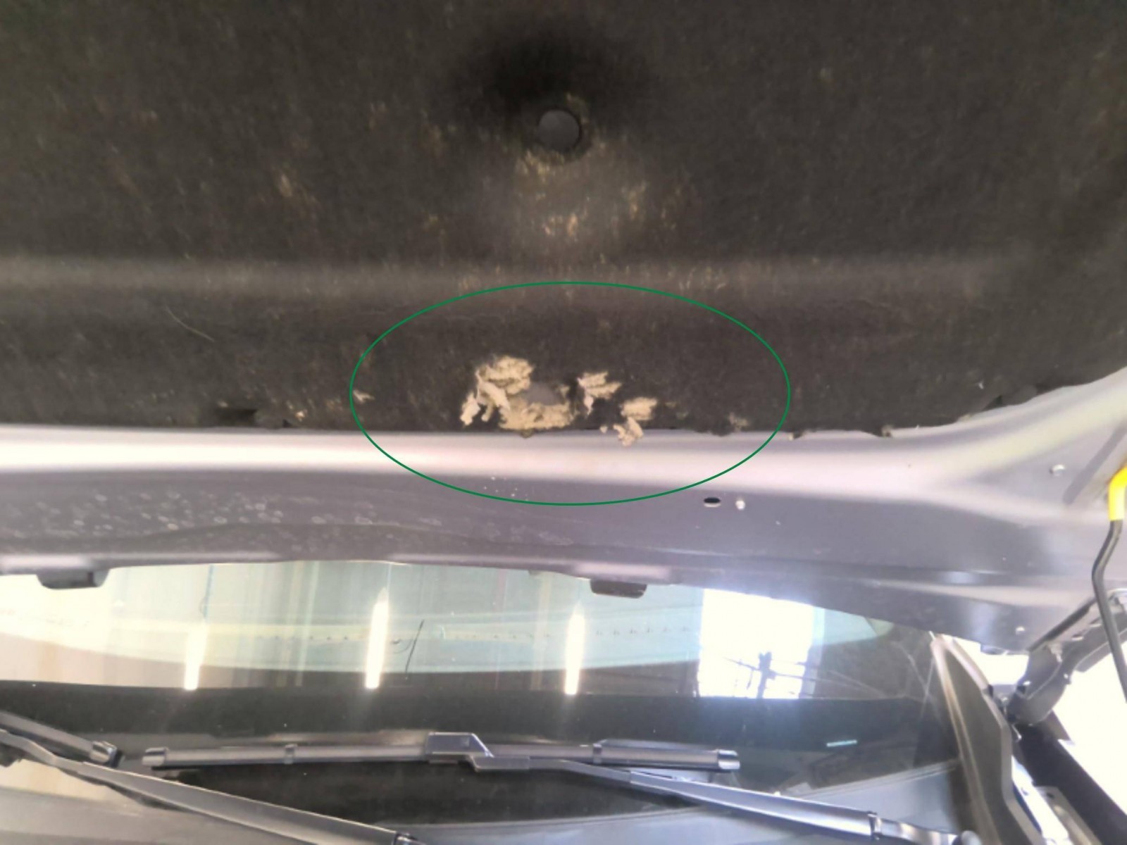 PEUGEOT - 2008 - #851354 - 8