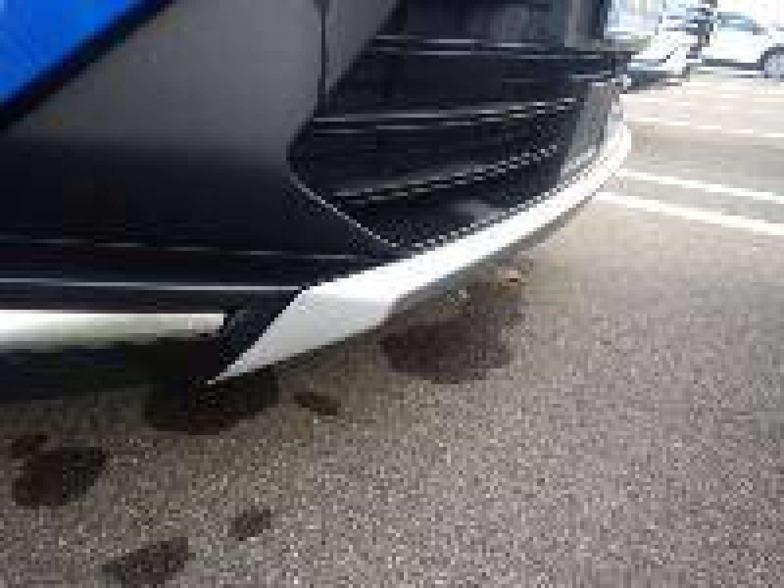 RENAULT - SYMBIOZ - #851585 - 9