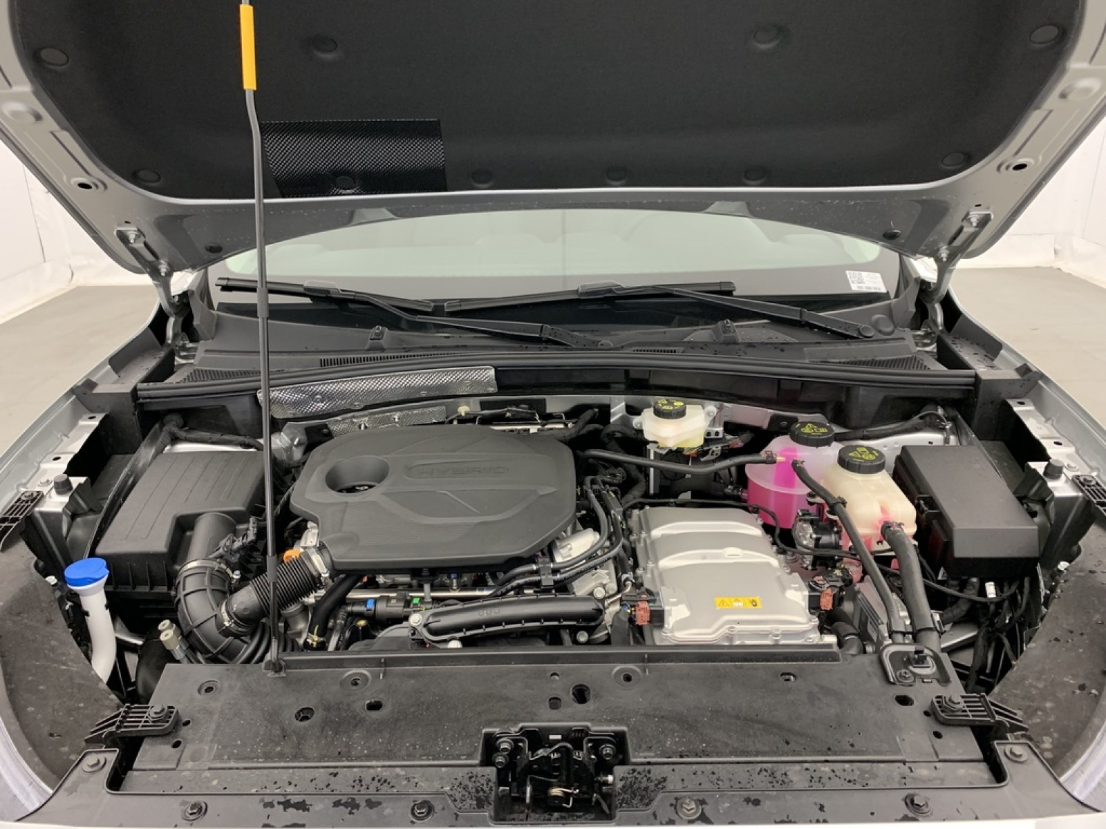 MG - ZS - #850675 - 20