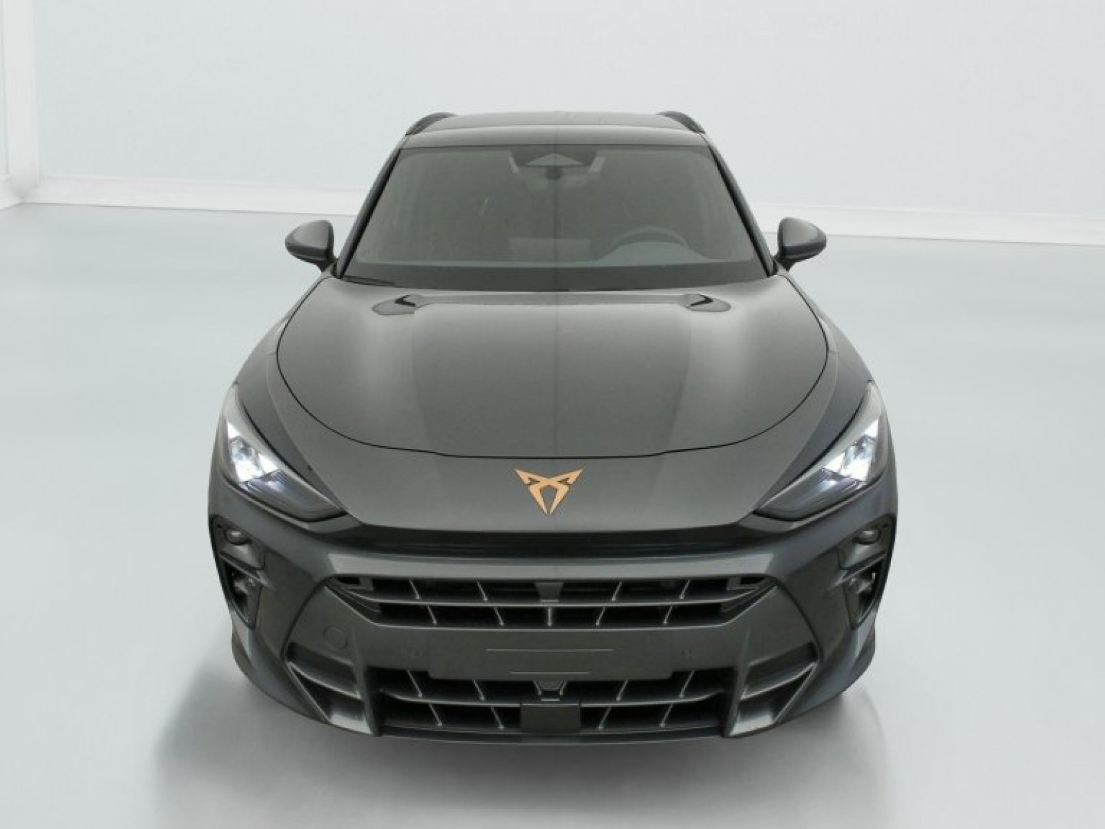 CUPRA - Terramar - #841684 - 1