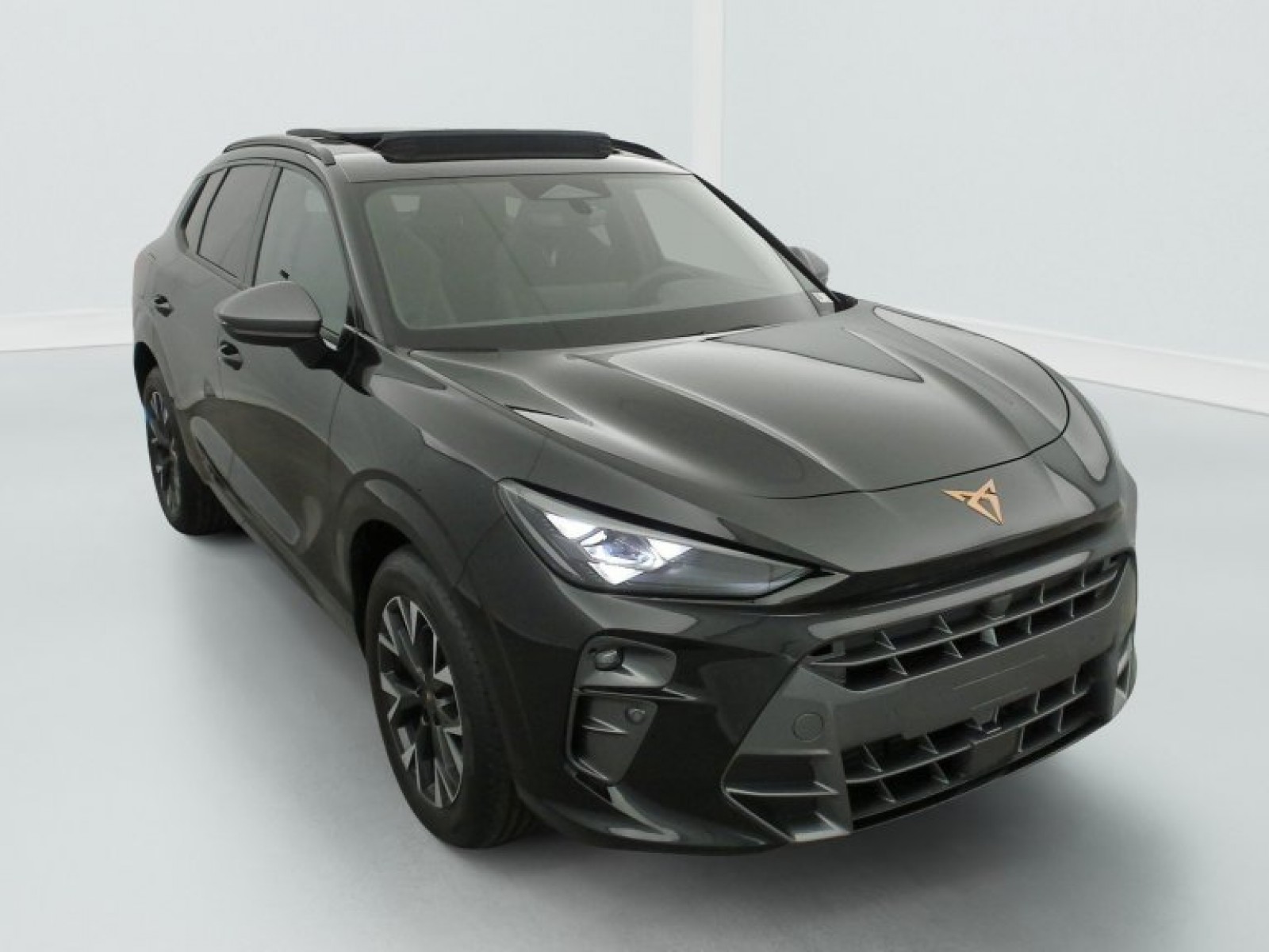 CUPRA - Terramar - #842592 - 0