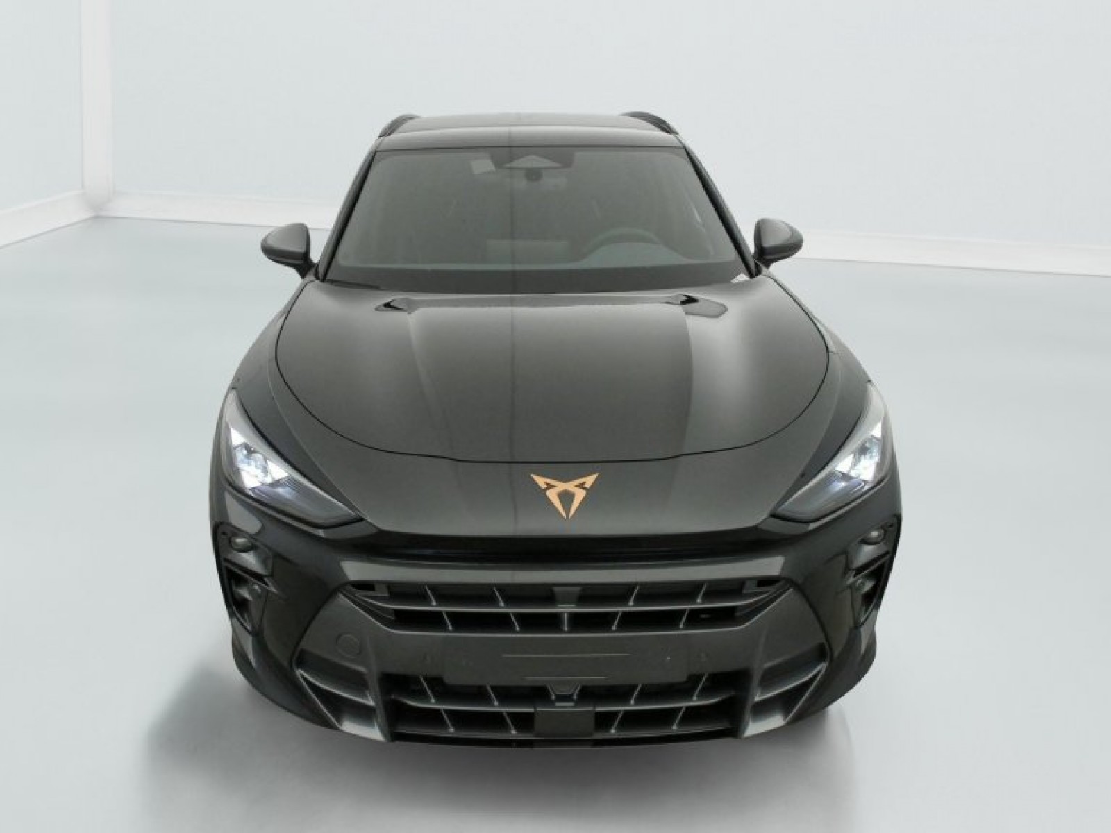 CUPRA - Terramar - #790872 - 1