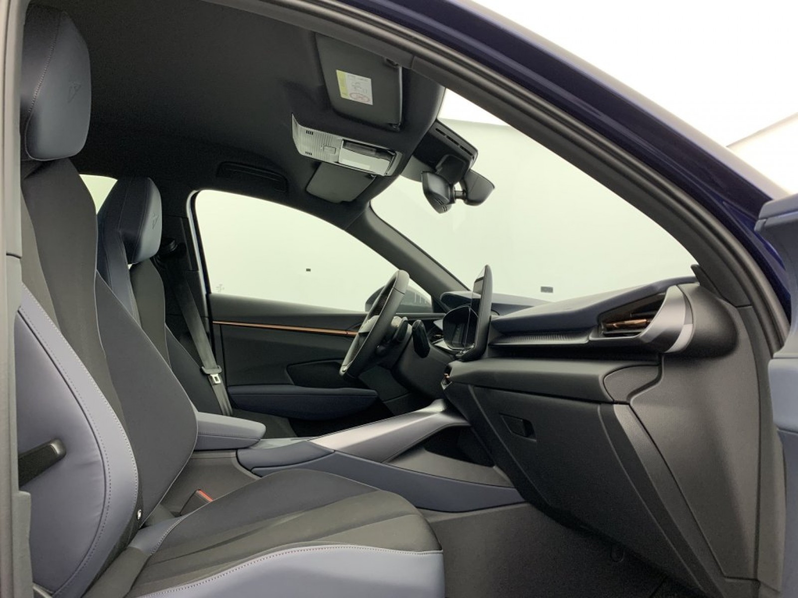 CUPRA - Terramar - #790876 - 10