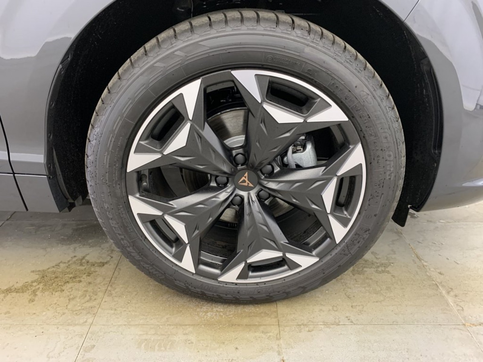 CUPRA - Terramar - #836872 - 14