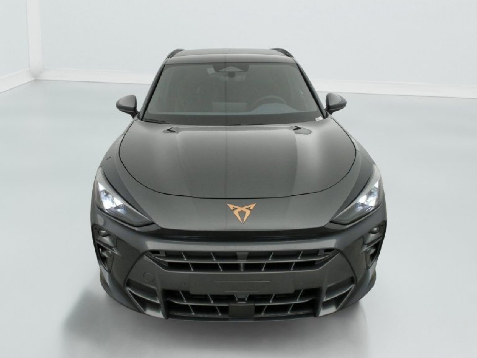 CUPRA - Terramar - #836872 - 2