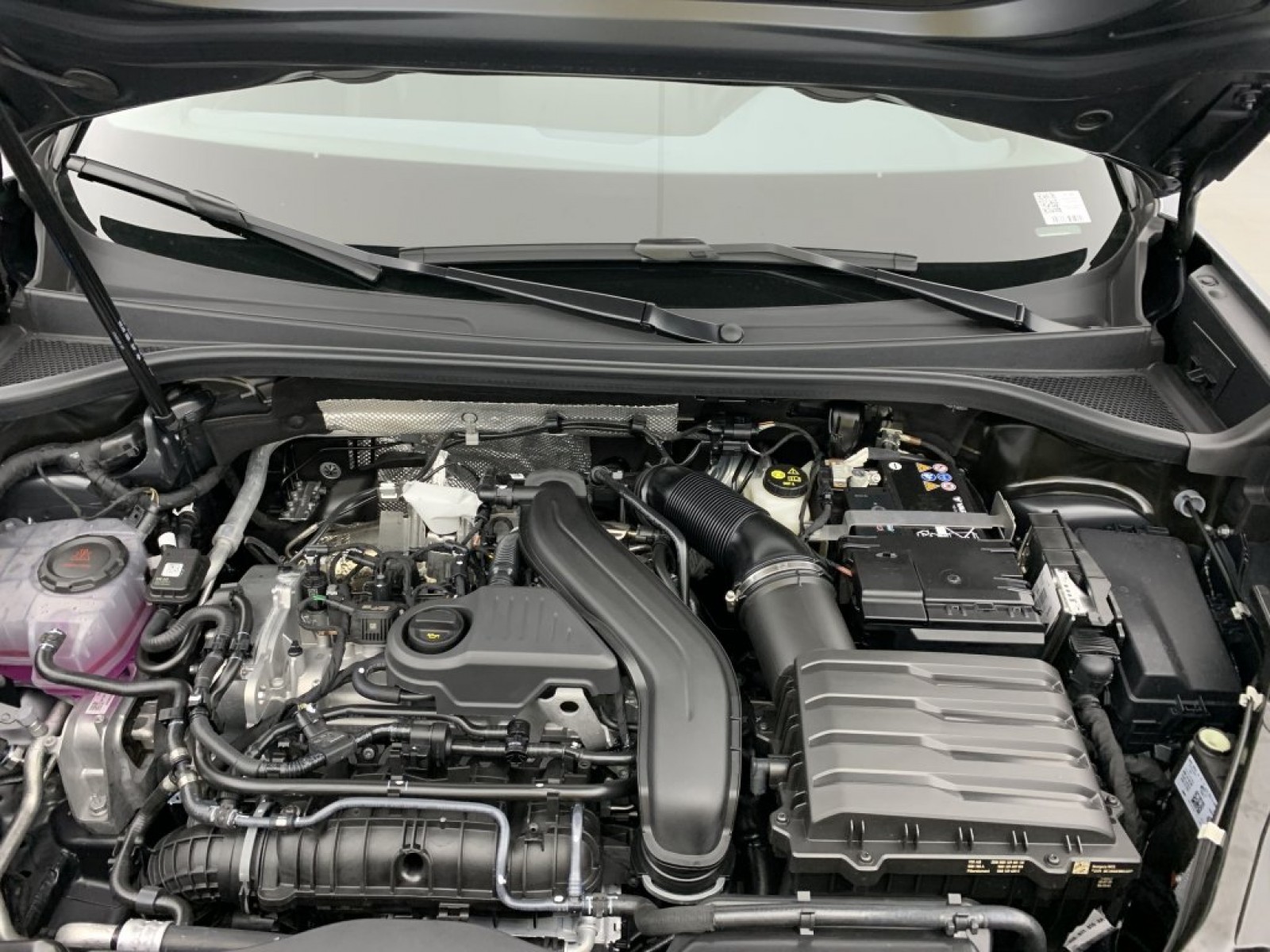 CUPRA - Terramar - #840449 - 30