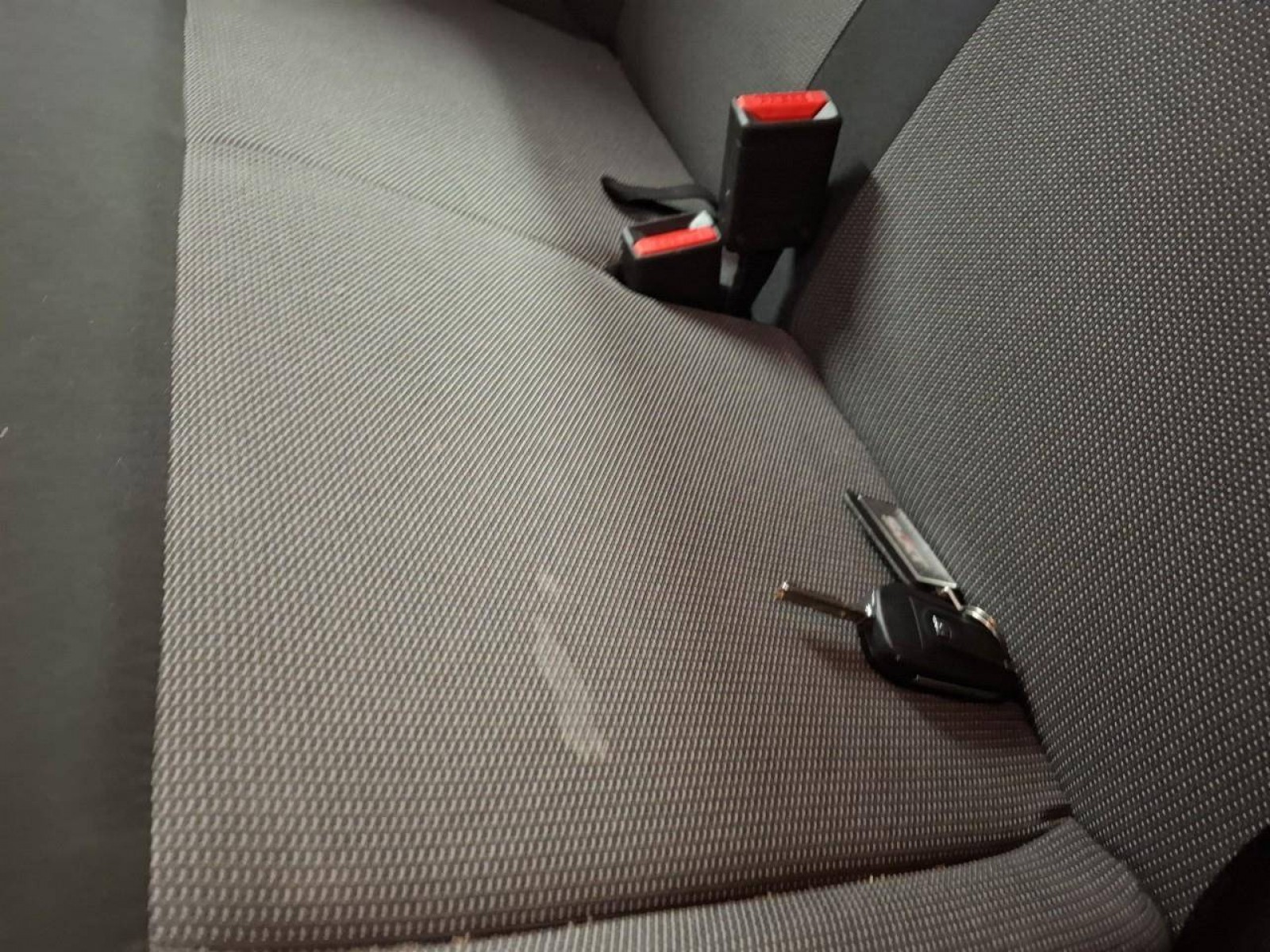 FIAT - SCUDO FOURGON - #852604 - 5