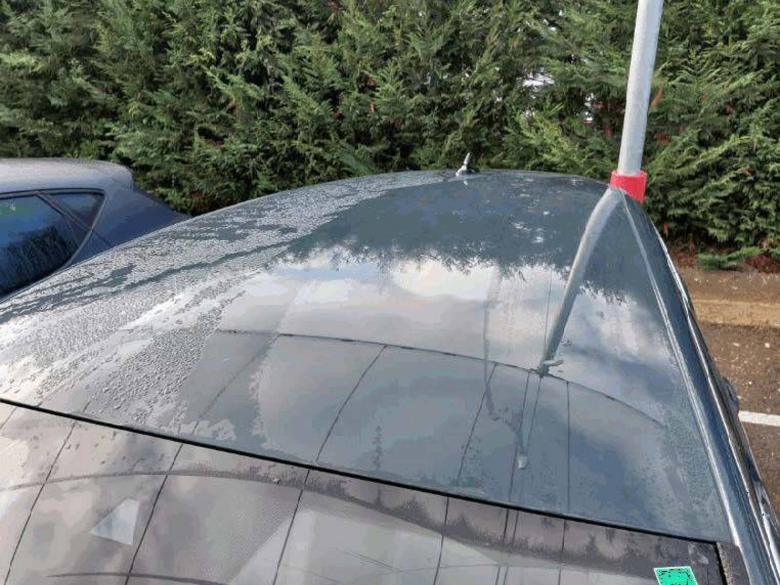 SEAT - LEON - #852812 - 24