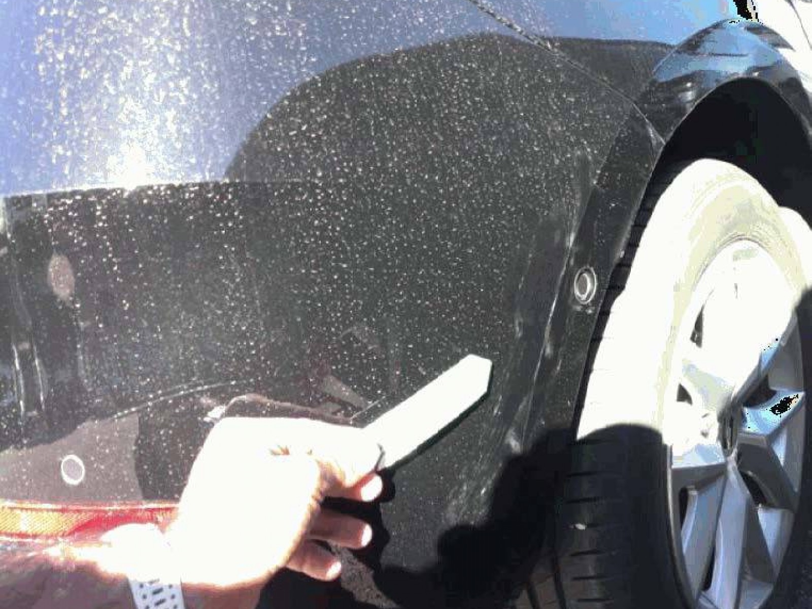 SEAT - LEON - #853486 - 10