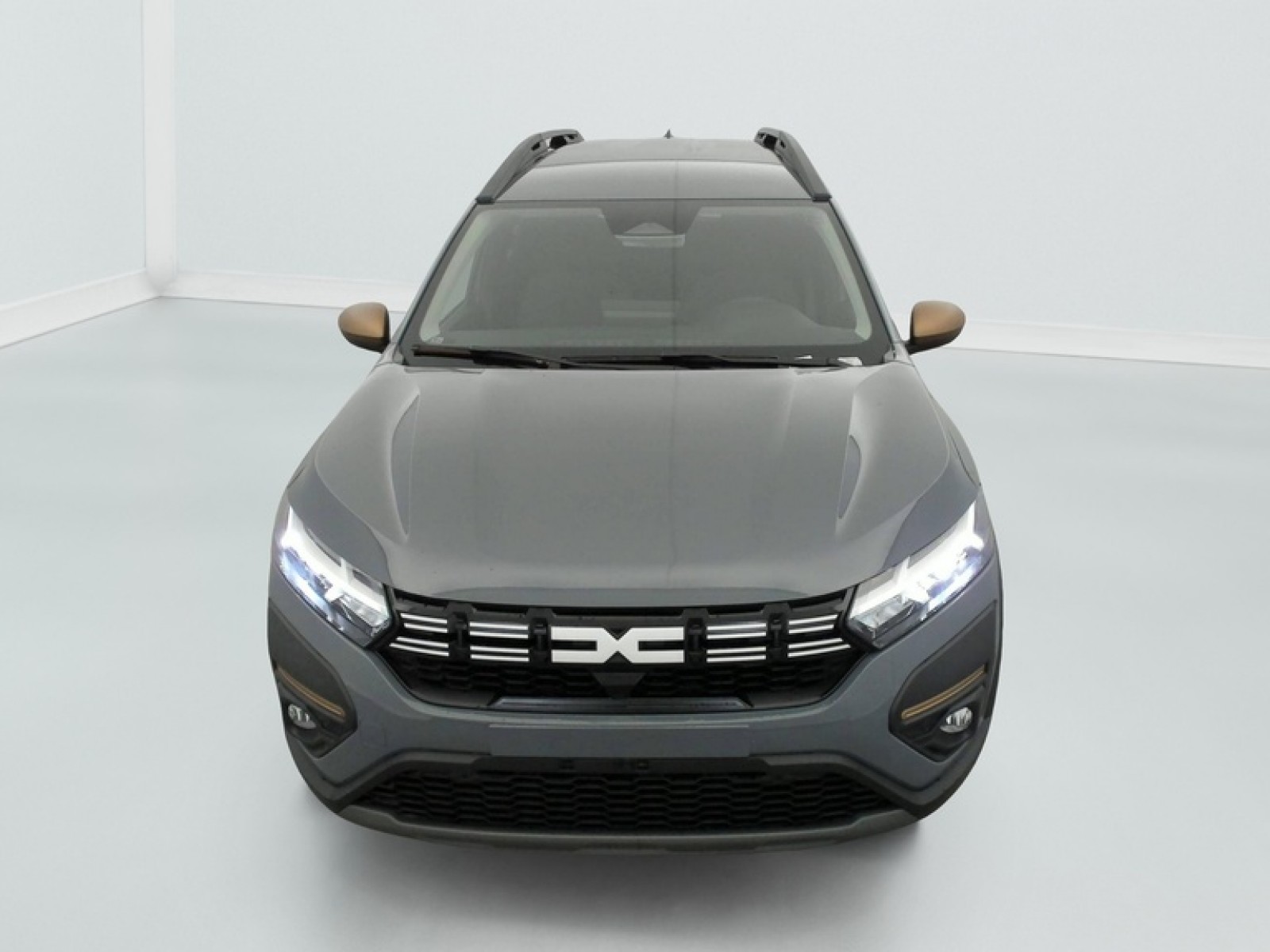 DACIA - Jogger - #851100 - 1