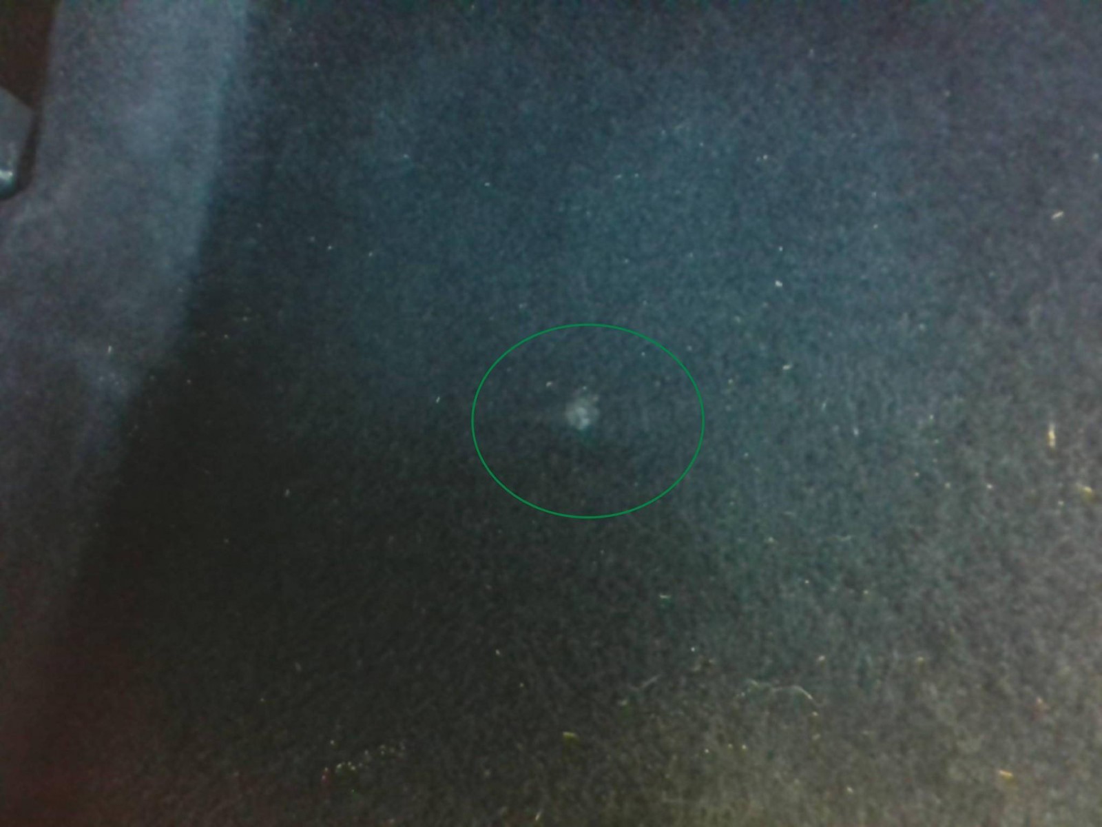 PEUGEOT - 2008 - #854018 - 10