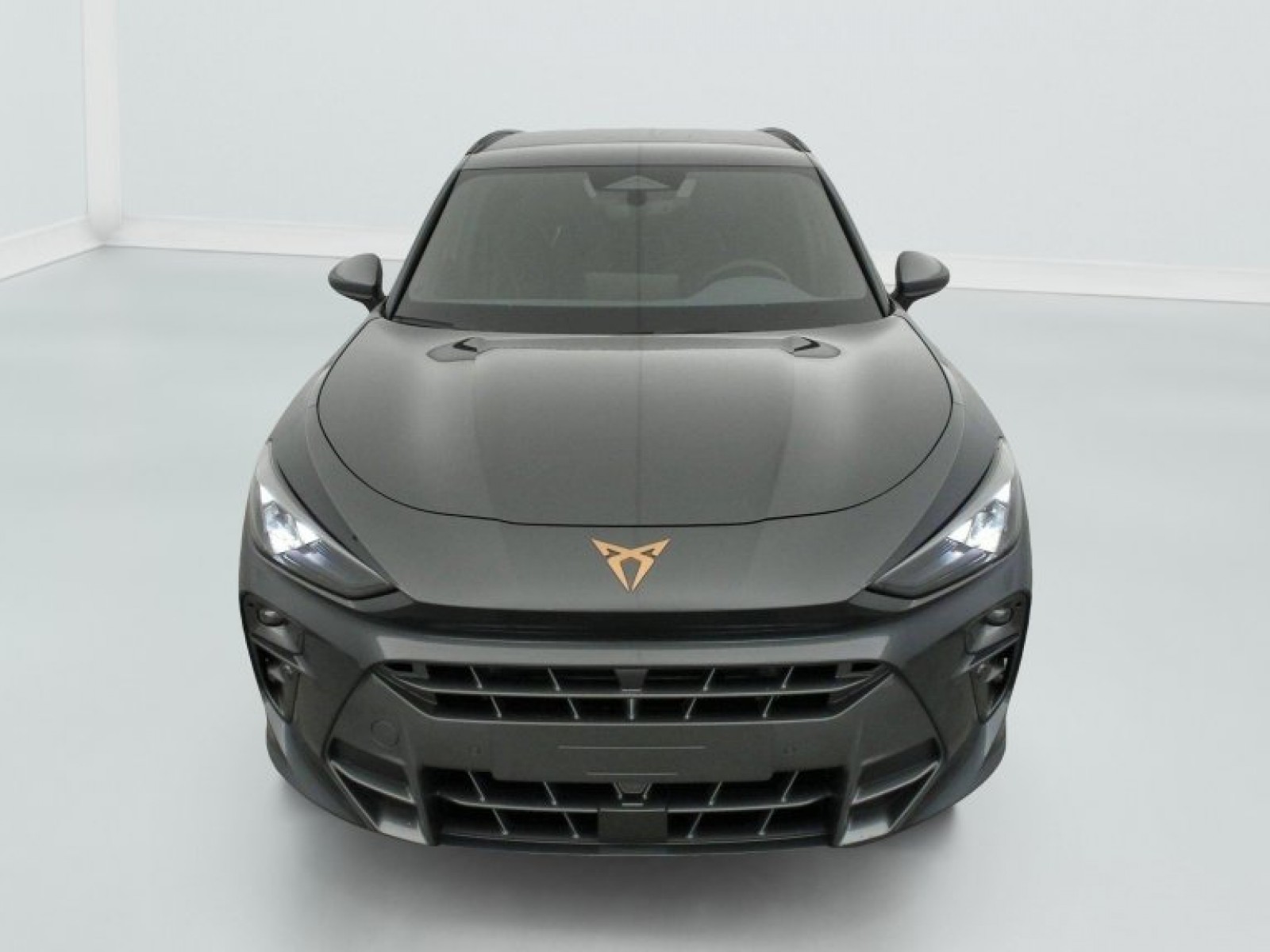 CUPRA - Terramar - #839741 - 1