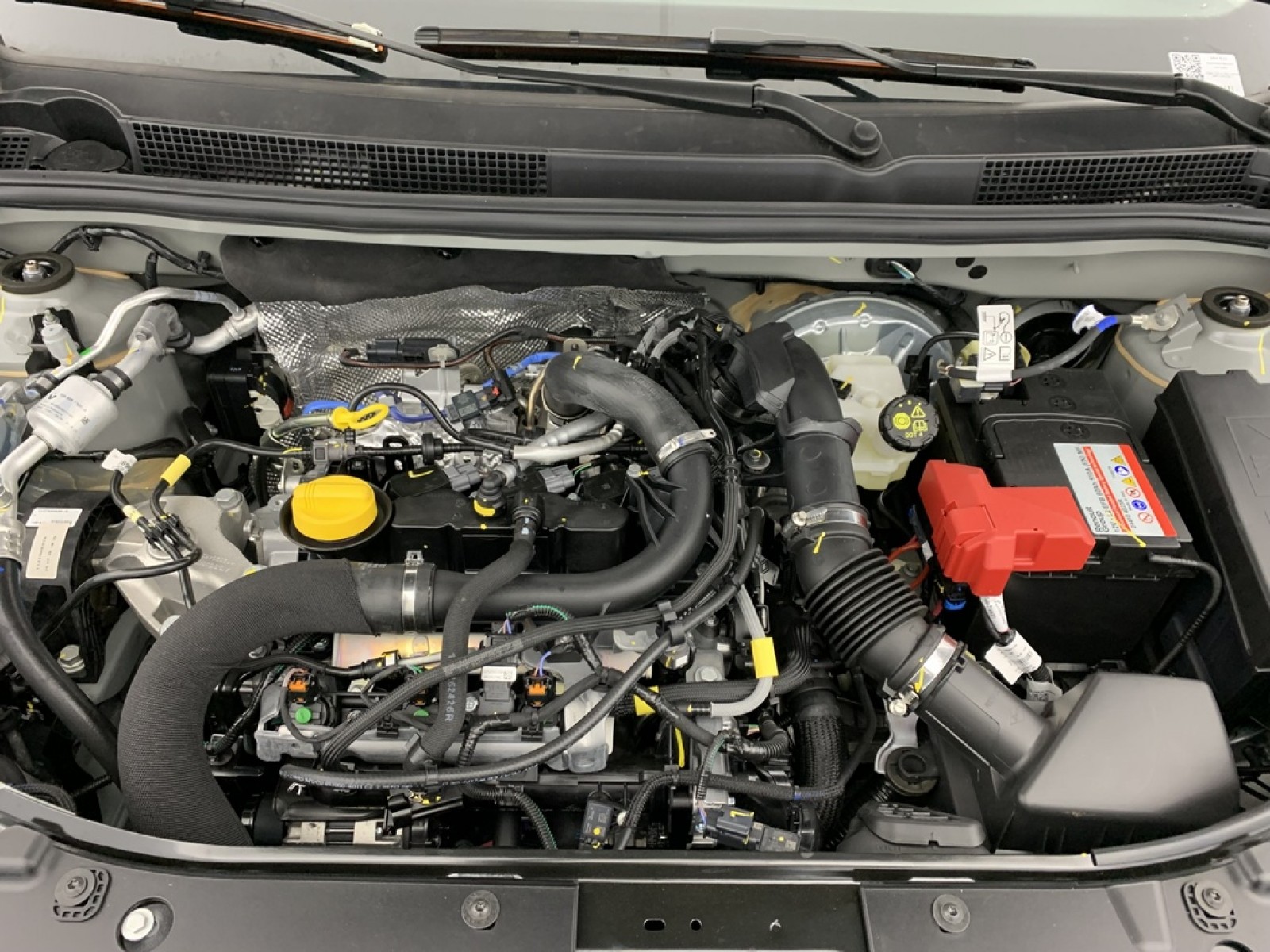 DACIA - Jogger - #851102 - 24