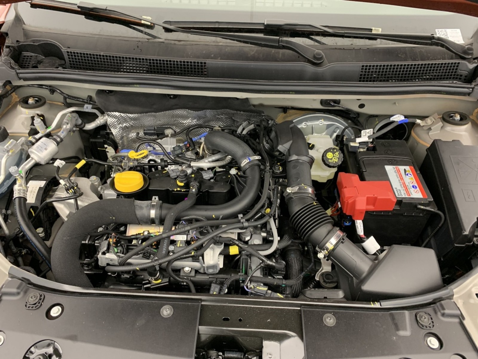 DACIA - Jogger - #850572 - 21