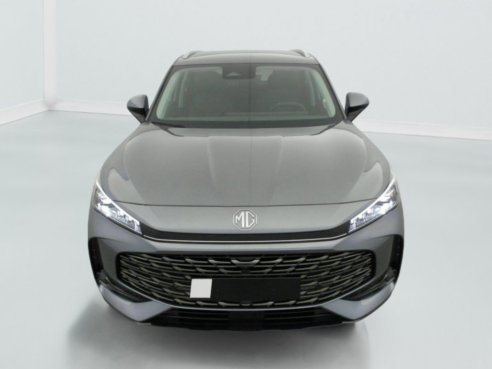 MG - EHS - #857318 - 1