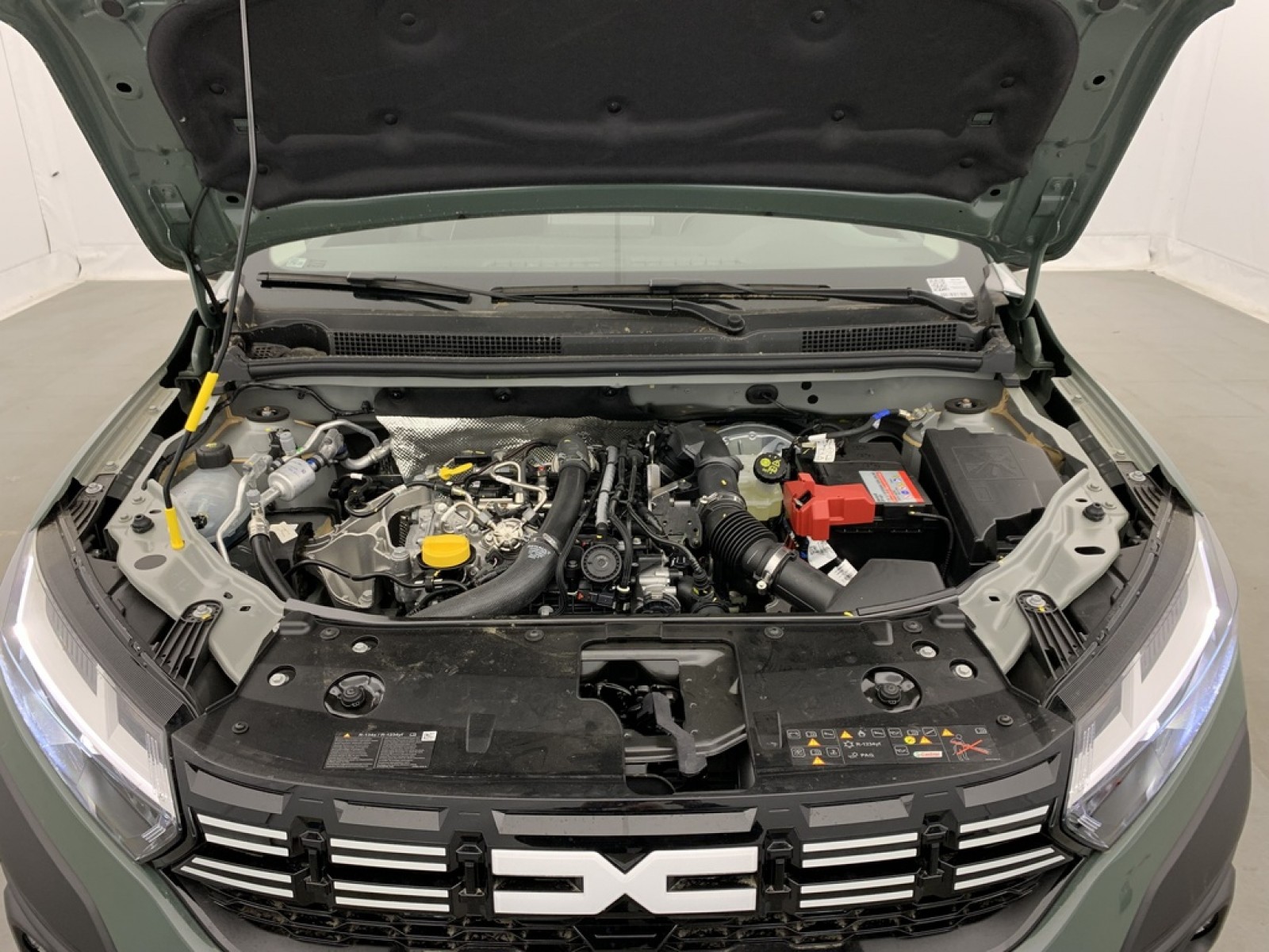 DACIA - Jogger - #854944 - 20