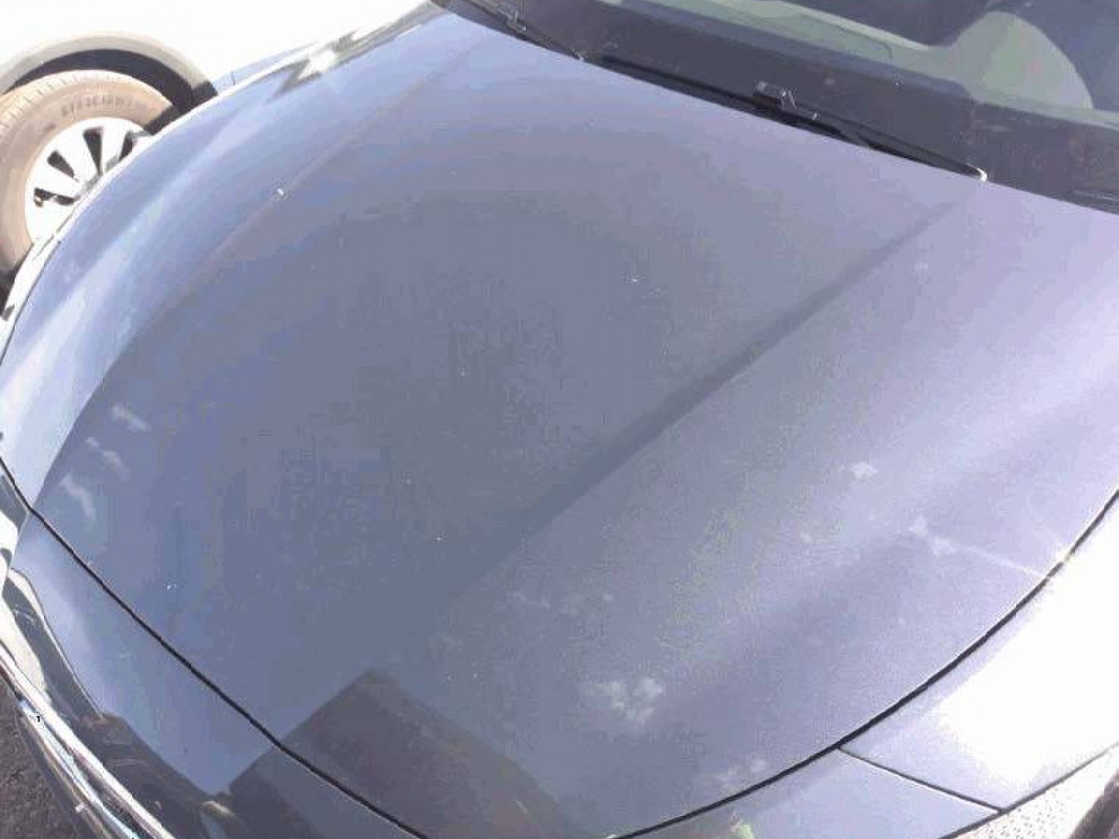 SEAT - LEON - #852915 - 24