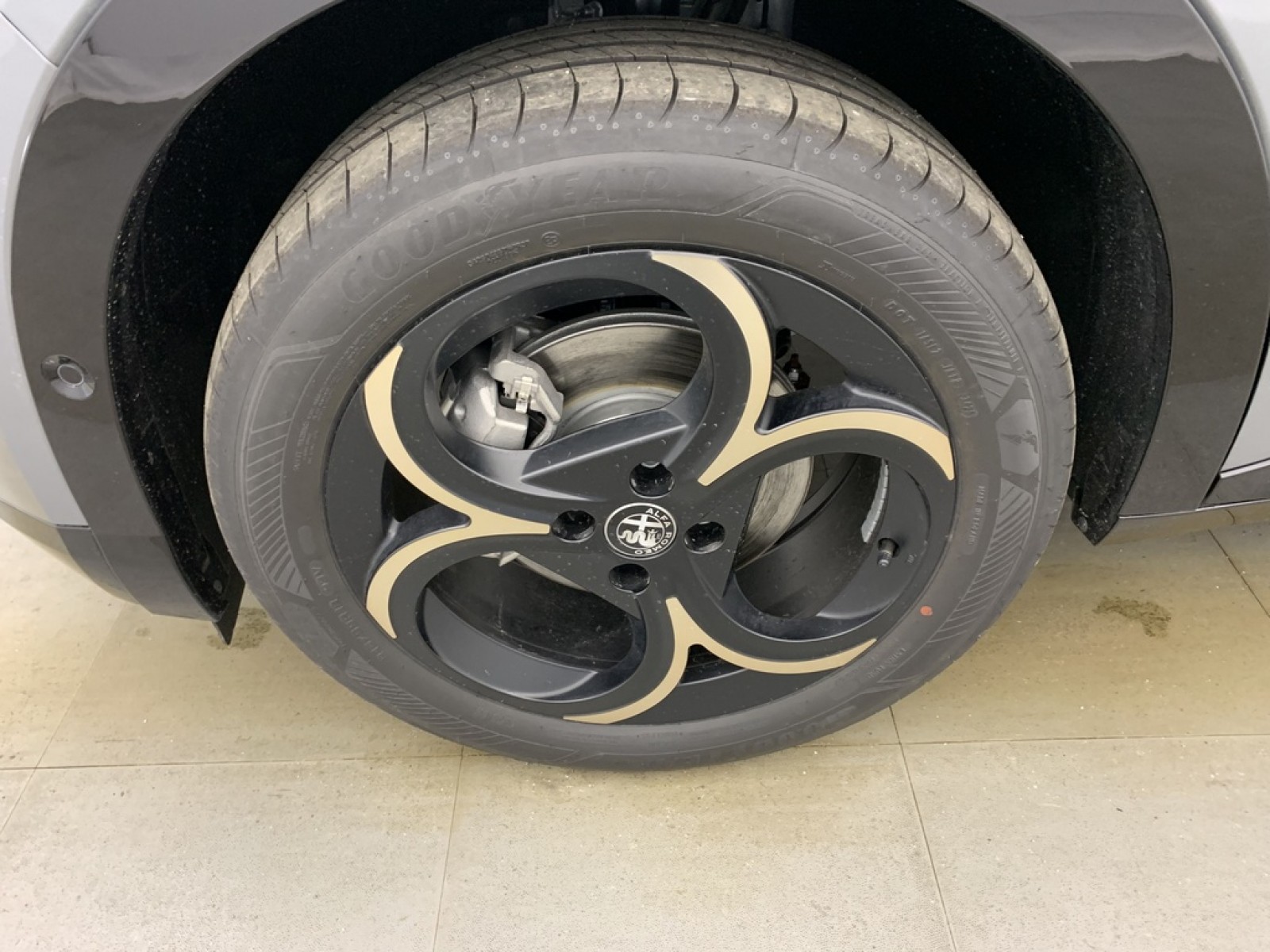 ALFA ROMEO - Junior - #857690 - 20