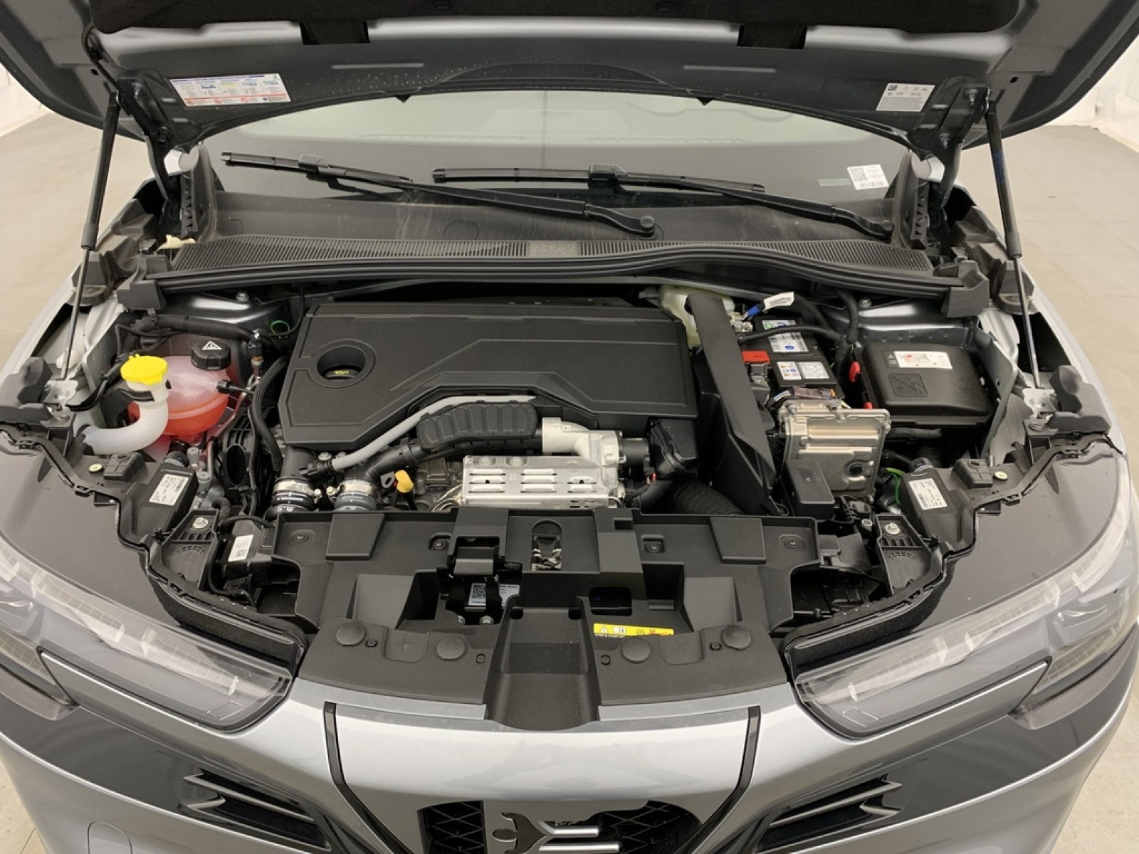 ALFA ROMEO - Junior - #857690 - 22