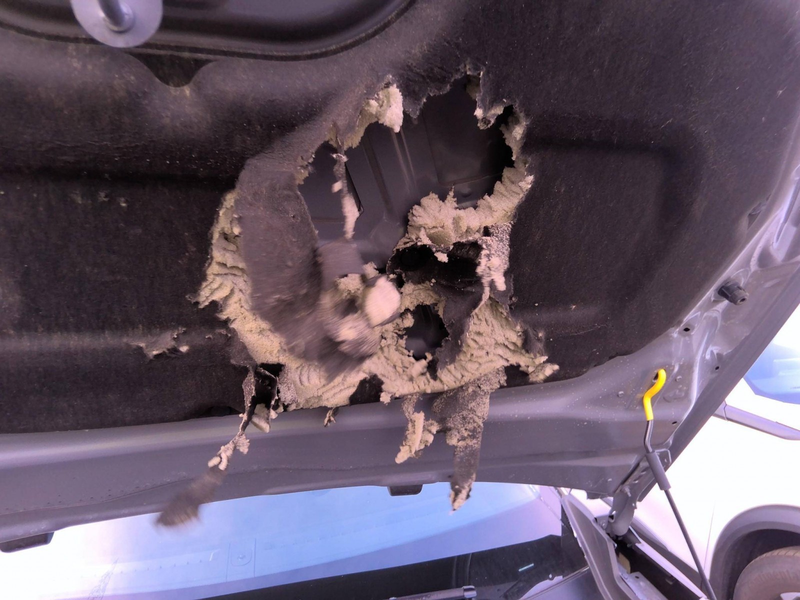 PEUGEOT - 2008 - #859587 - 7