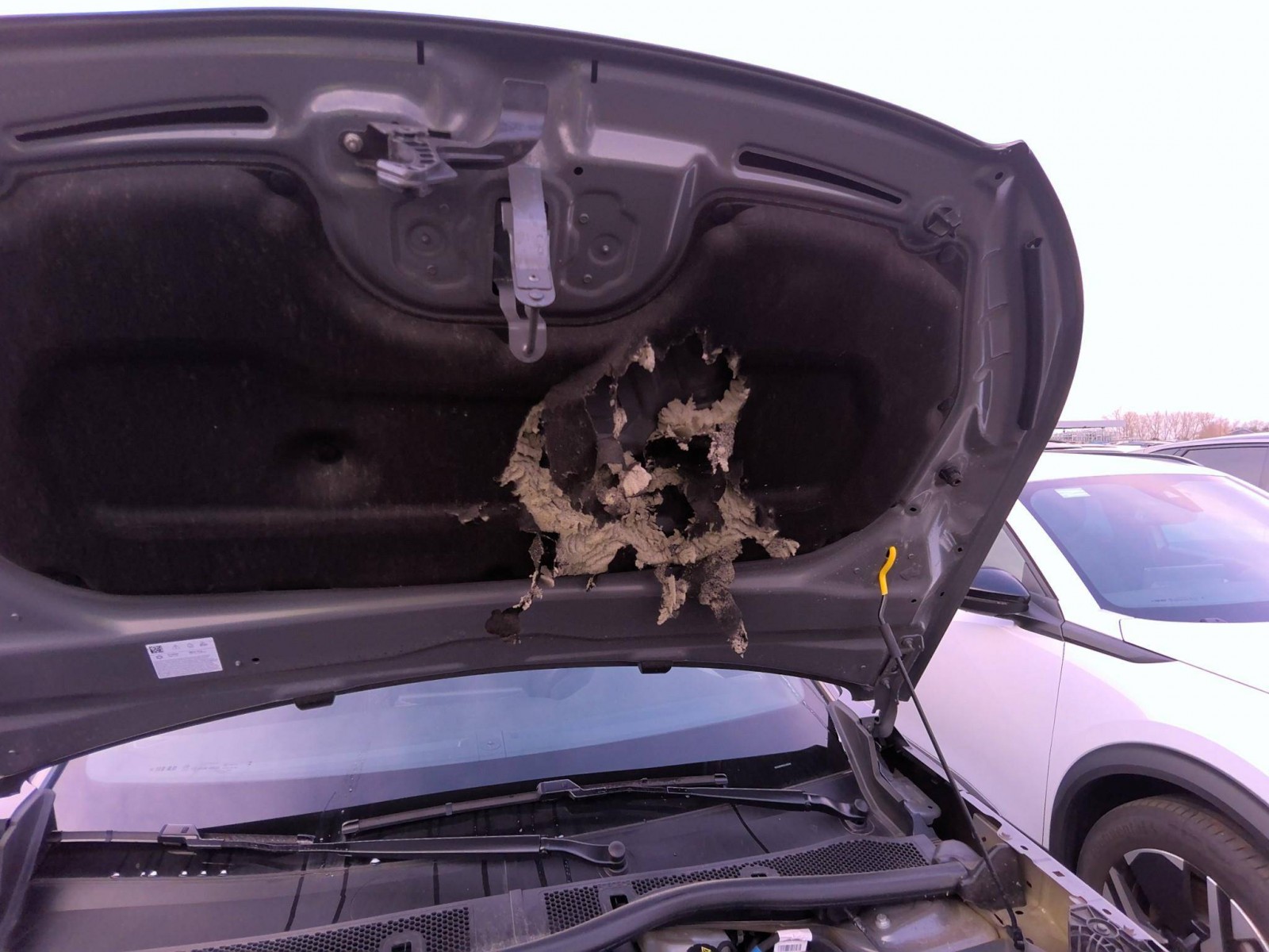 PEUGEOT - 2008 - #859587 - 8