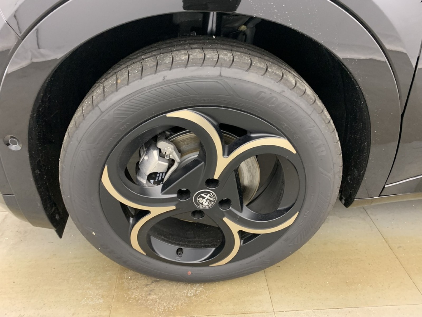 ALFA ROMEO - Junior - #857671 - 20