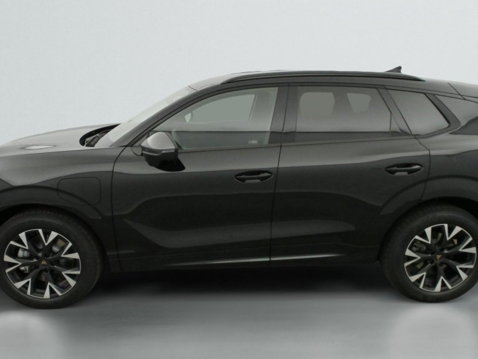 CUPRA - Terramar - #839757 - 6