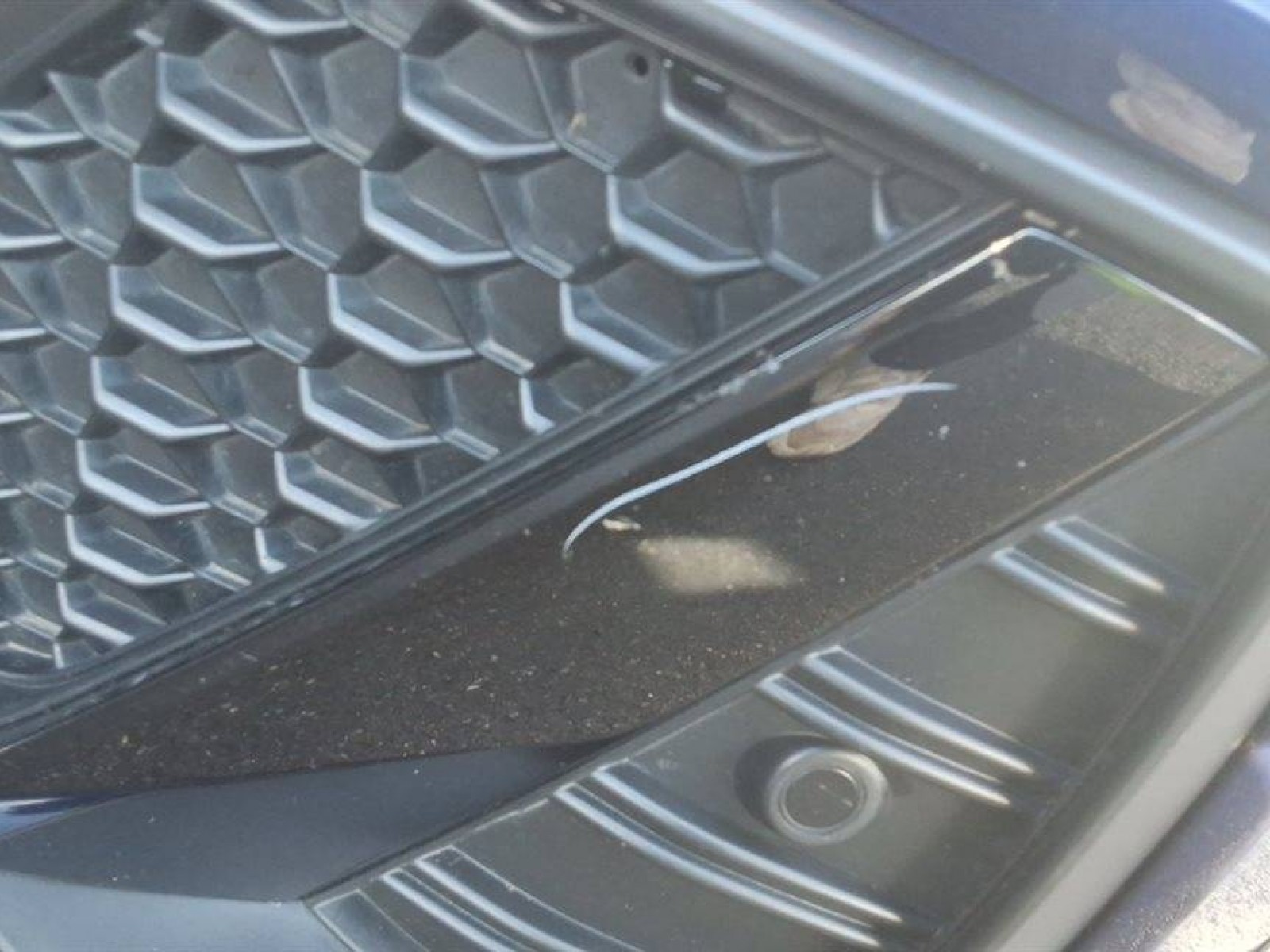 AUDI - A1 SPORTBACK - #862124 - 15