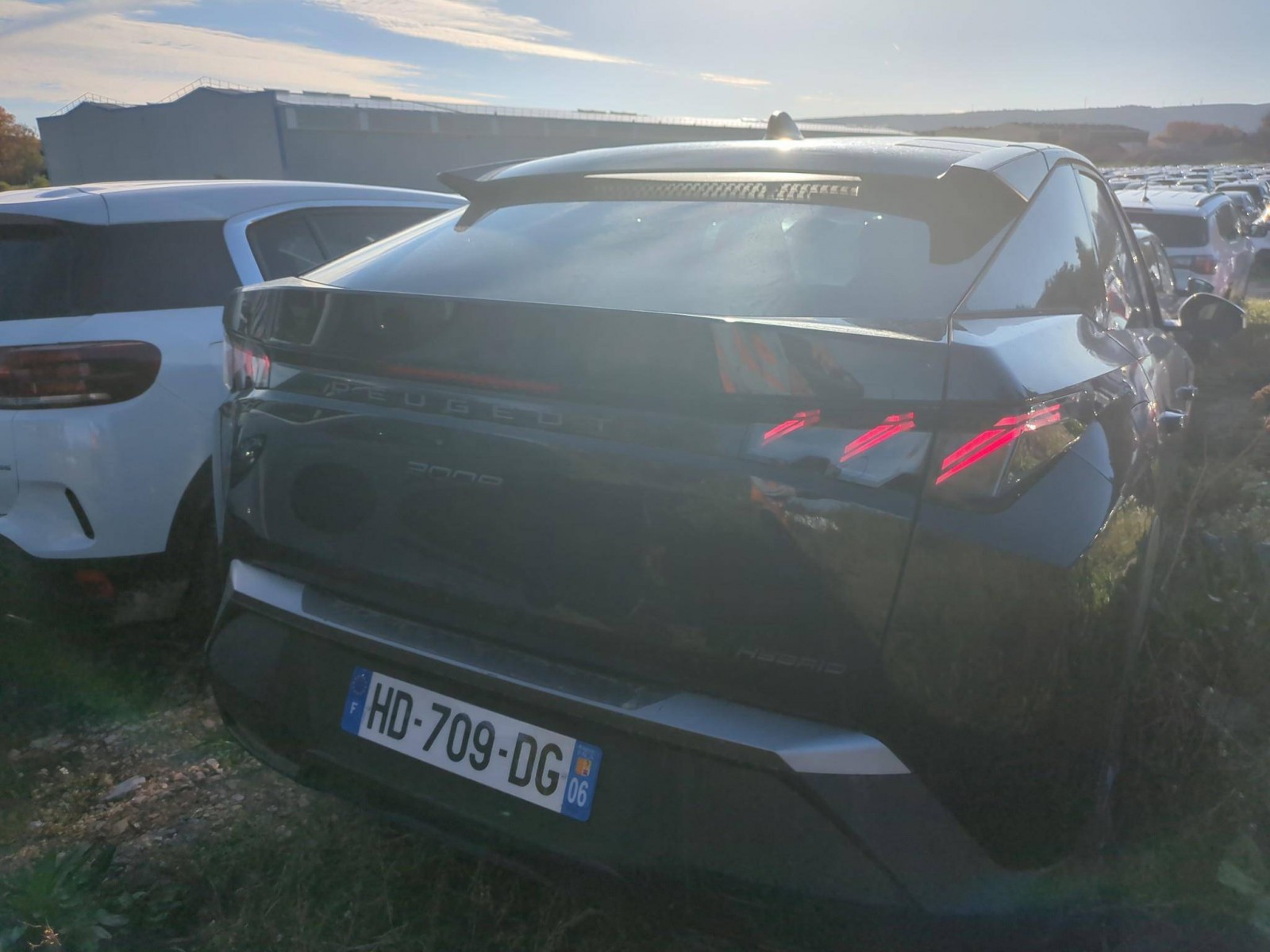 PEUGEOT - 3008 - #862349 - 1