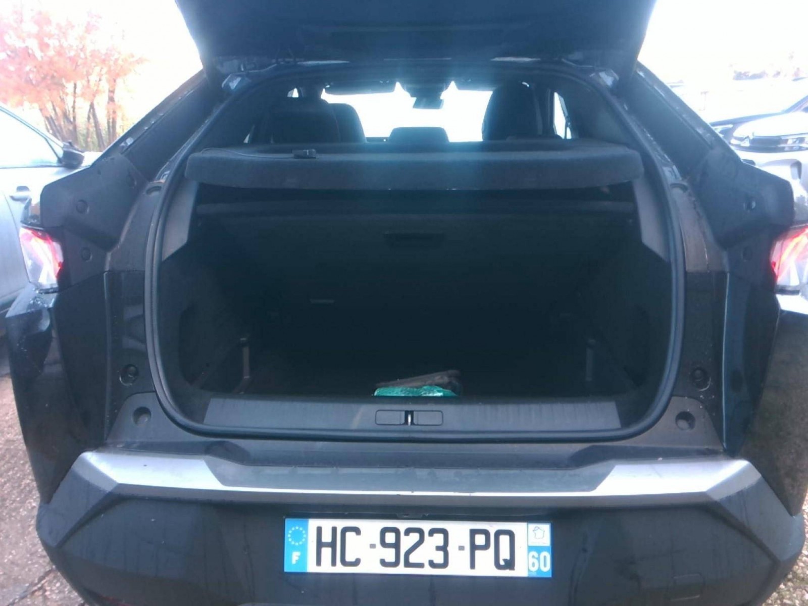 PEUGEOT - 3008 - #862363 - 6