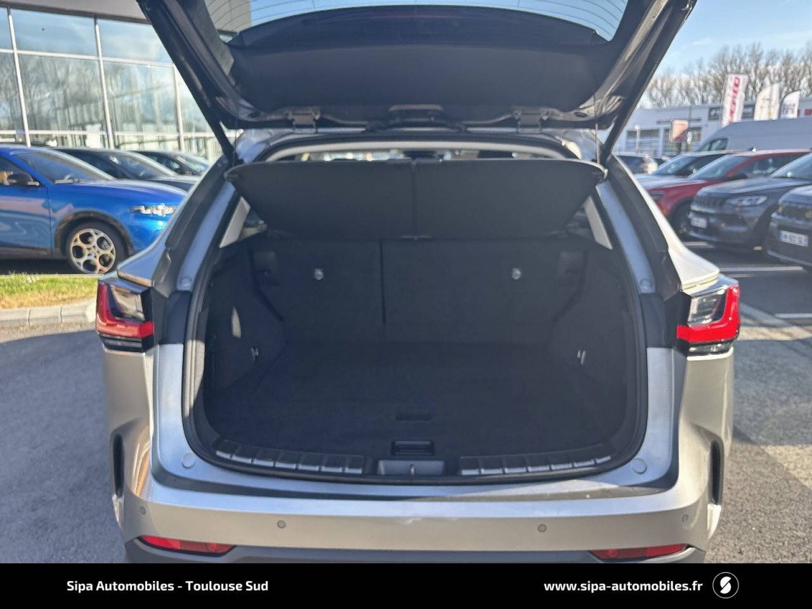 LEXUS - NX - #863433 - 5