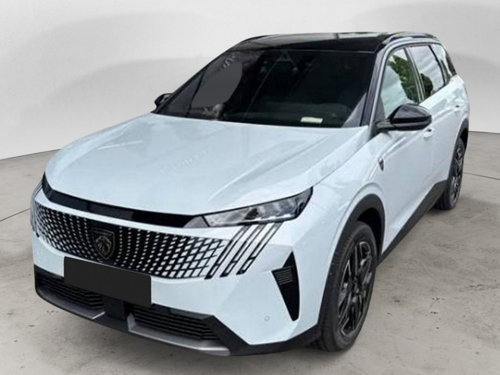 PEUGEOT - 5008 - #862383 - 28