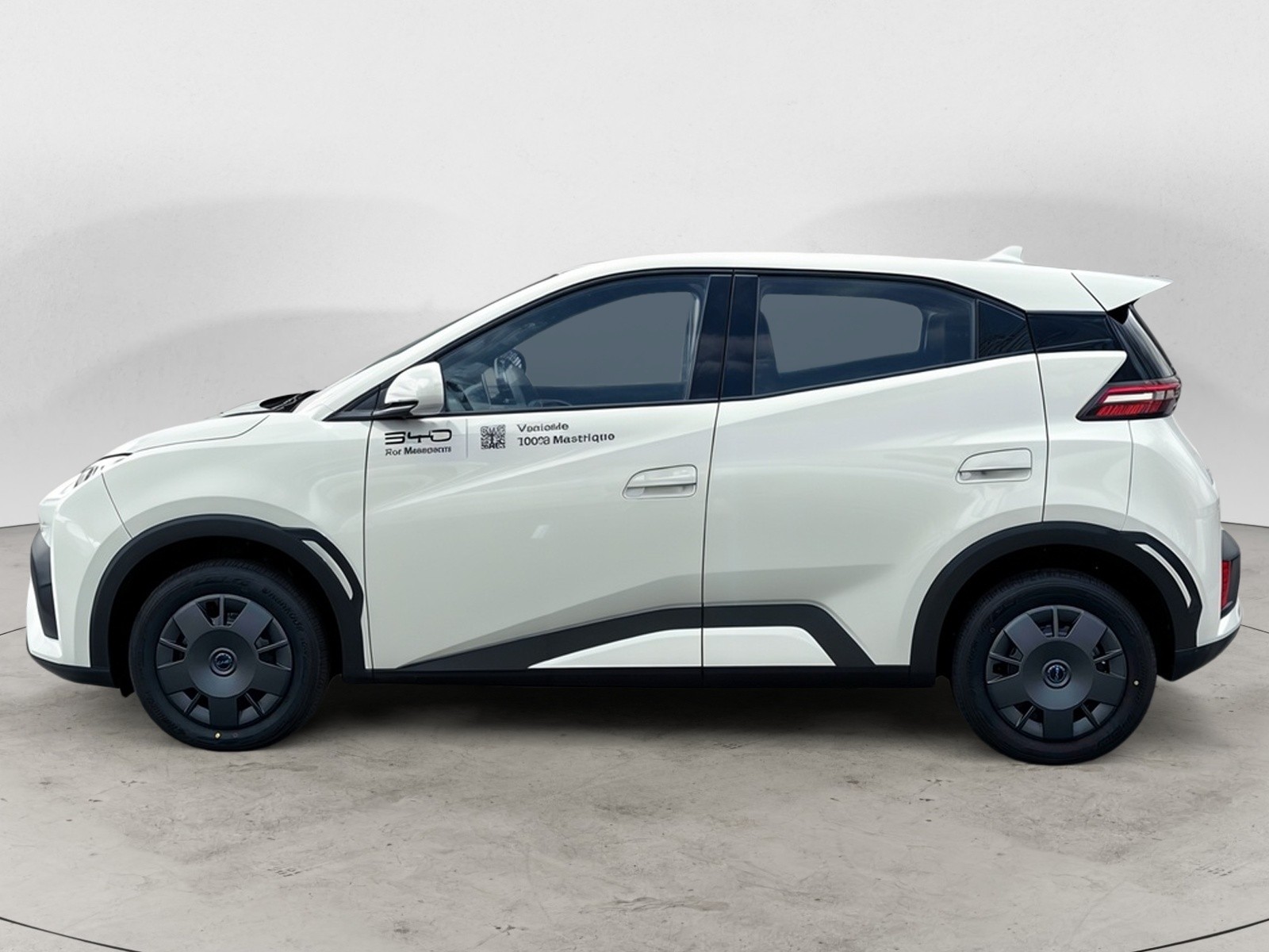 BYD - DOLPHIN SURF - #864668 - 1