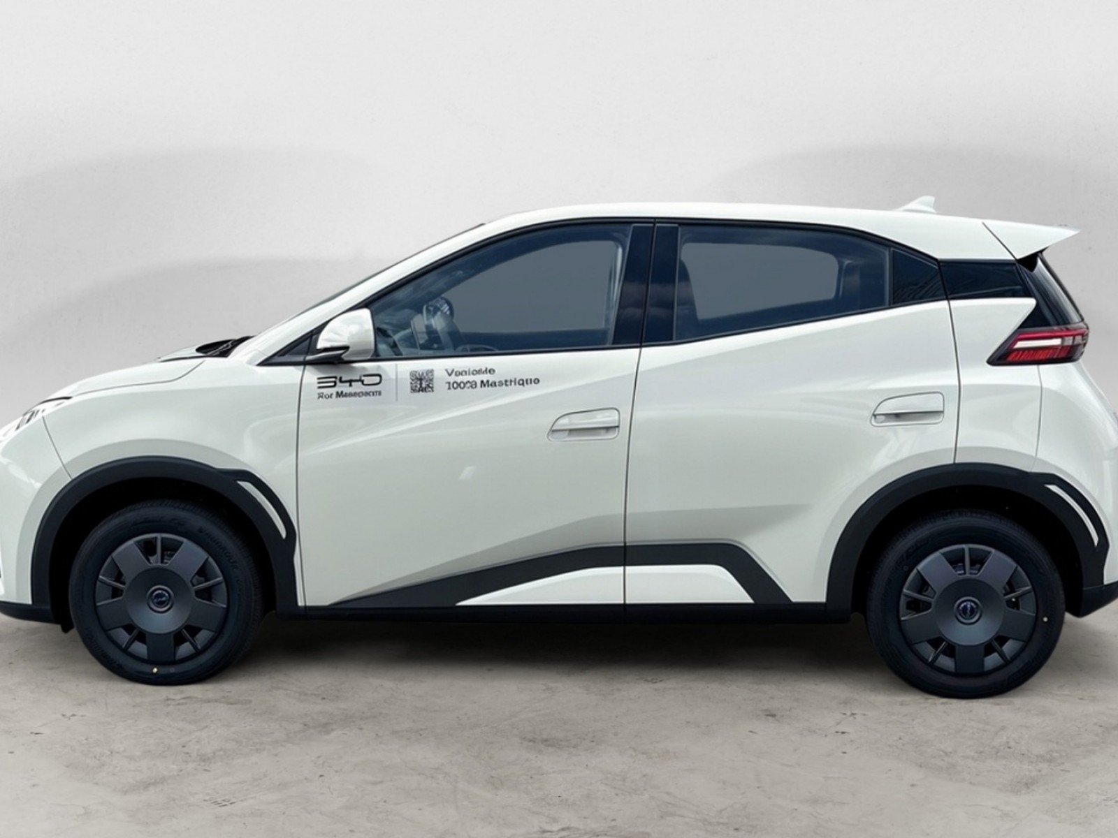 BYD - DOLPHIN SURF - #864668 - 11