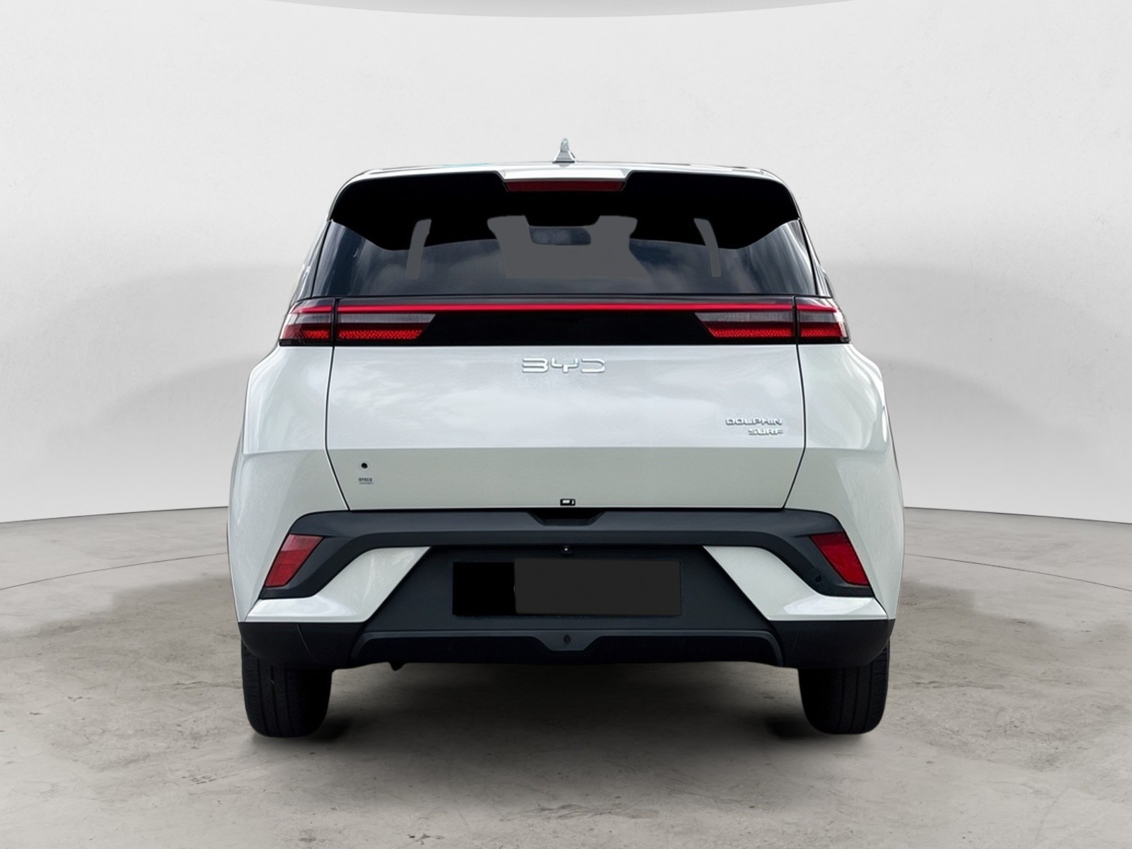 BYD - DOLPHIN SURF - #864668 - 3