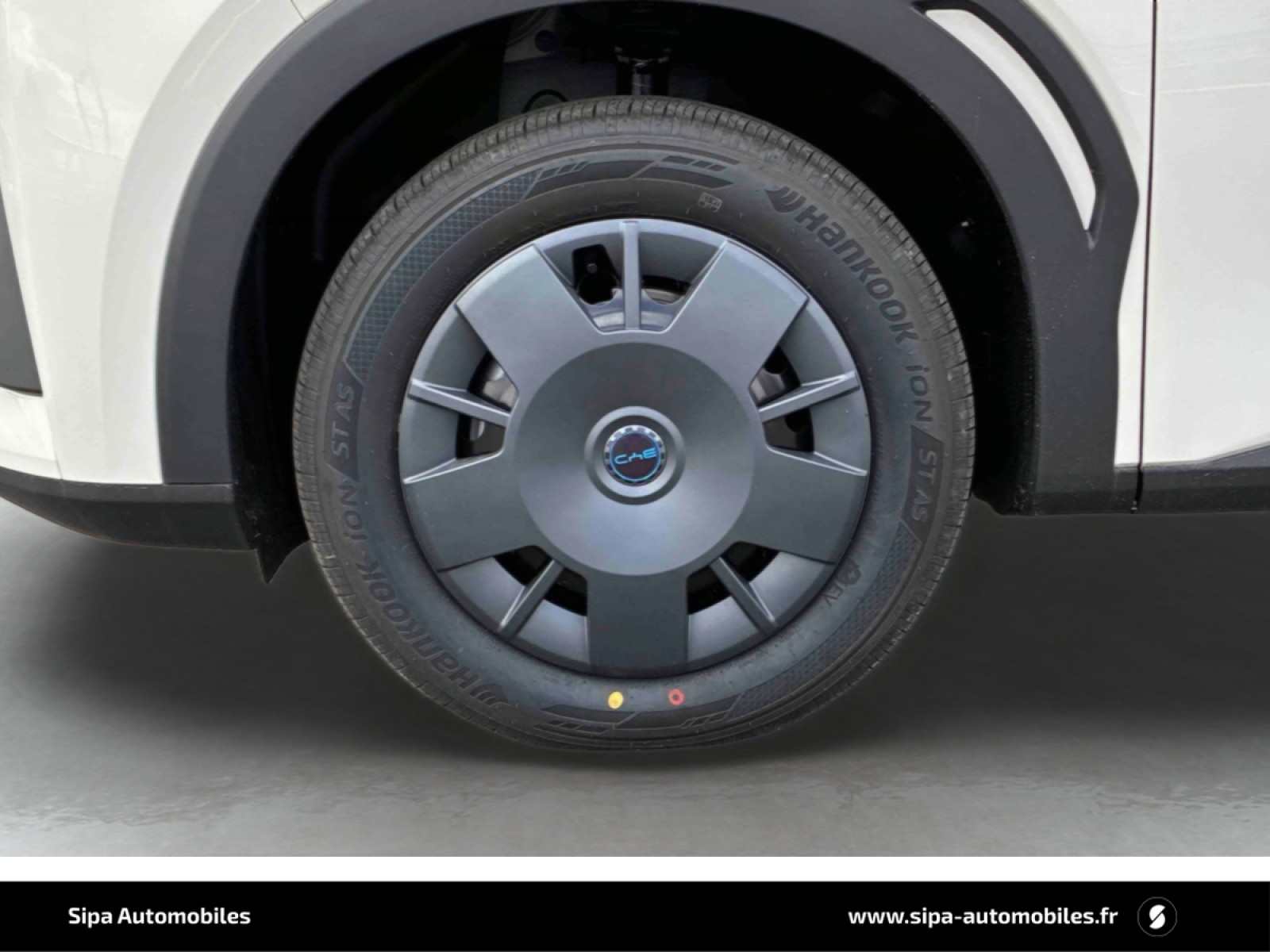 BYD - DOLPHIN SURF - #864668 - 8