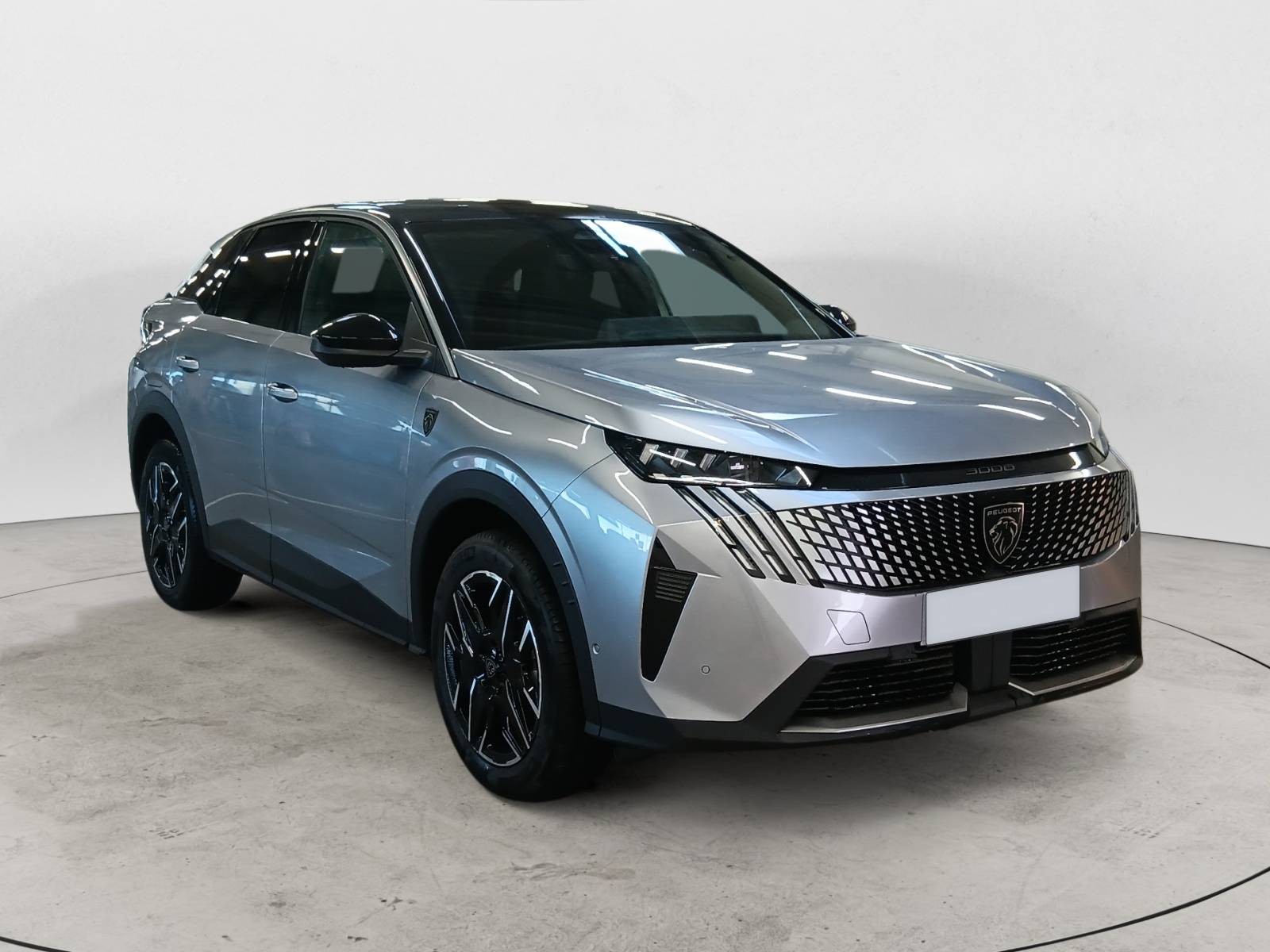 PEUGEOT - 3008 - #865502 - 1