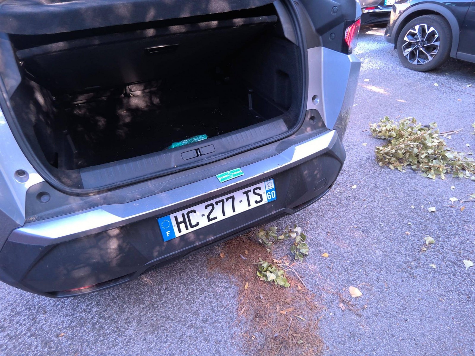 PEUGEOT - 3008 - #865502 - 19