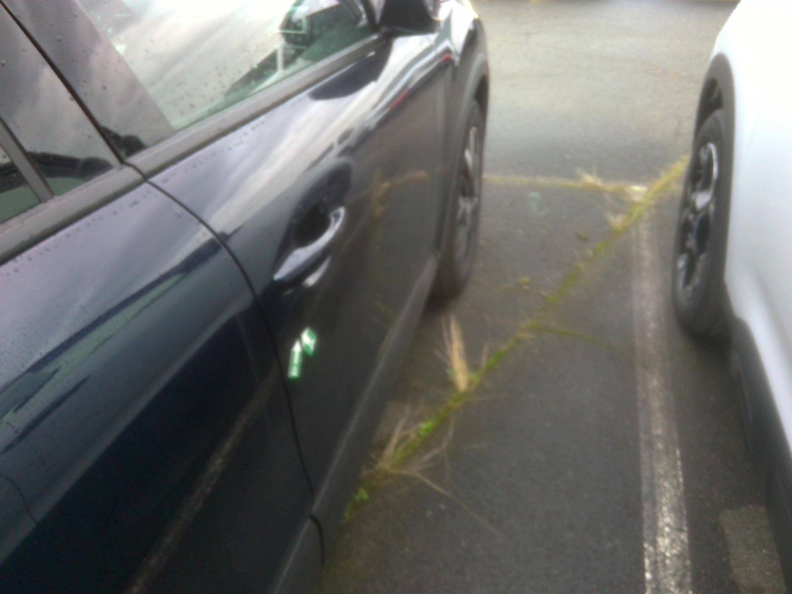 CITROEN - C4 - #865607 - 15