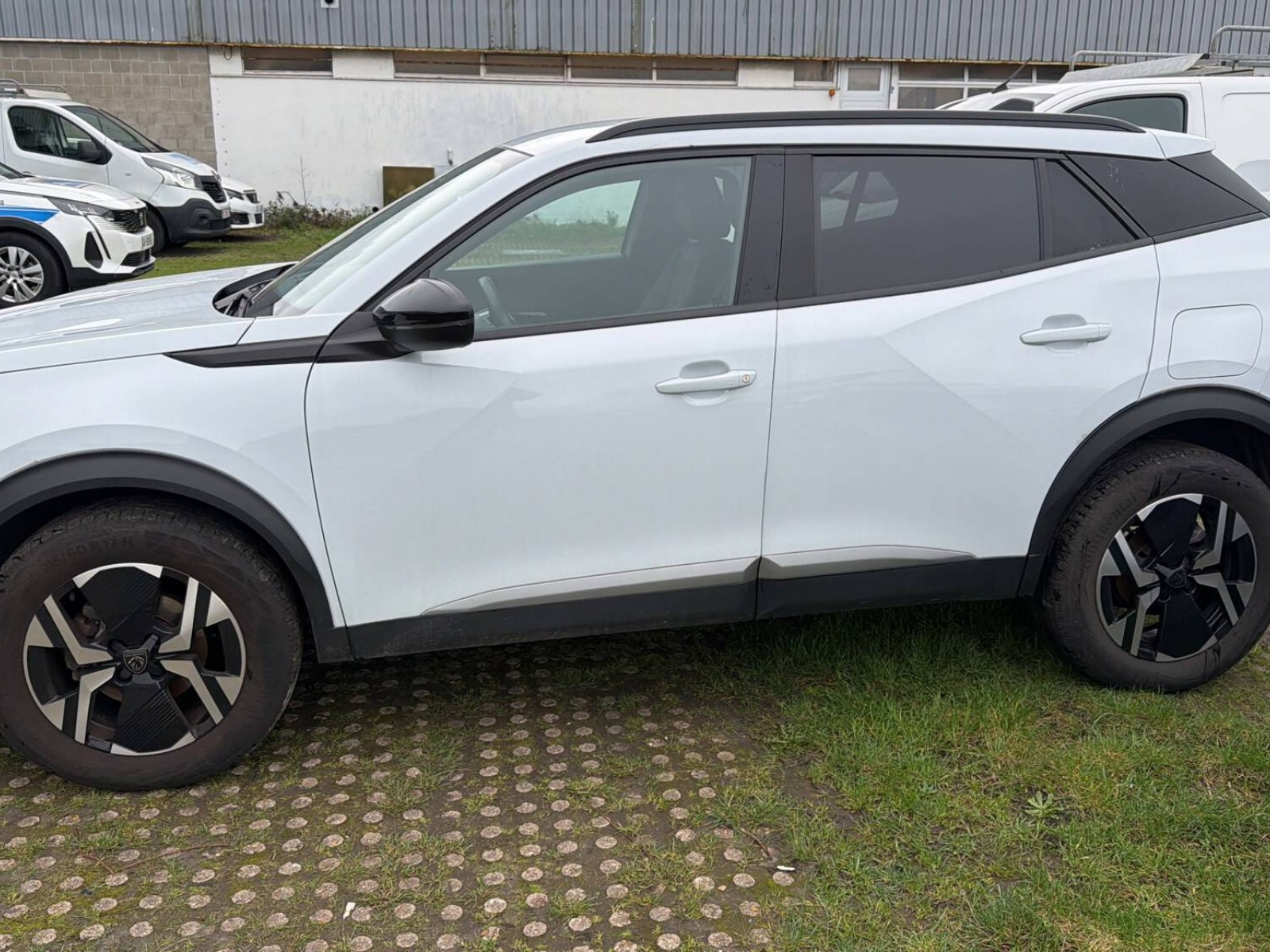 PEUGEOT - 2008 - #866108 - 6