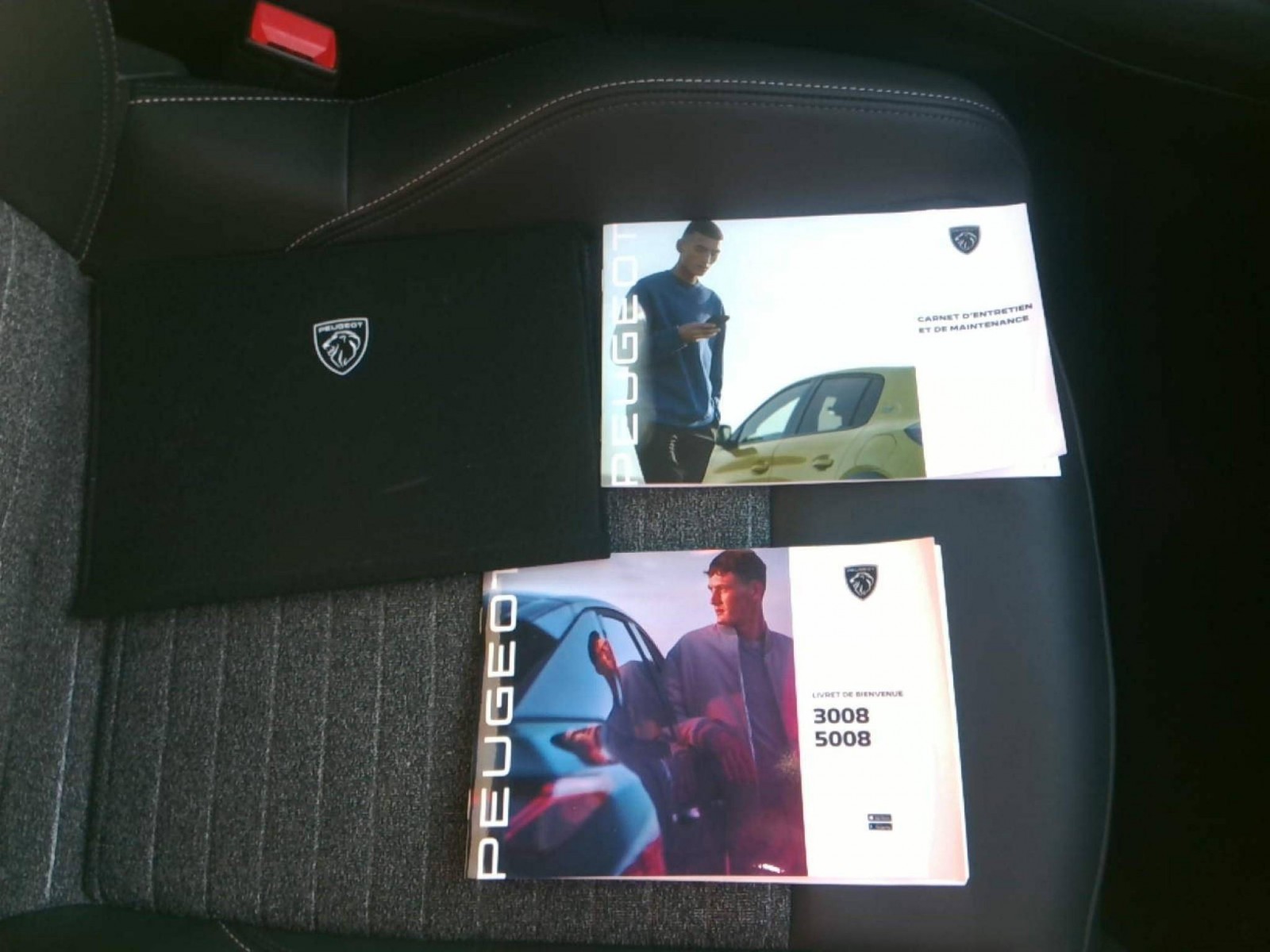PEUGEOT - 3008 - #867294 - 5