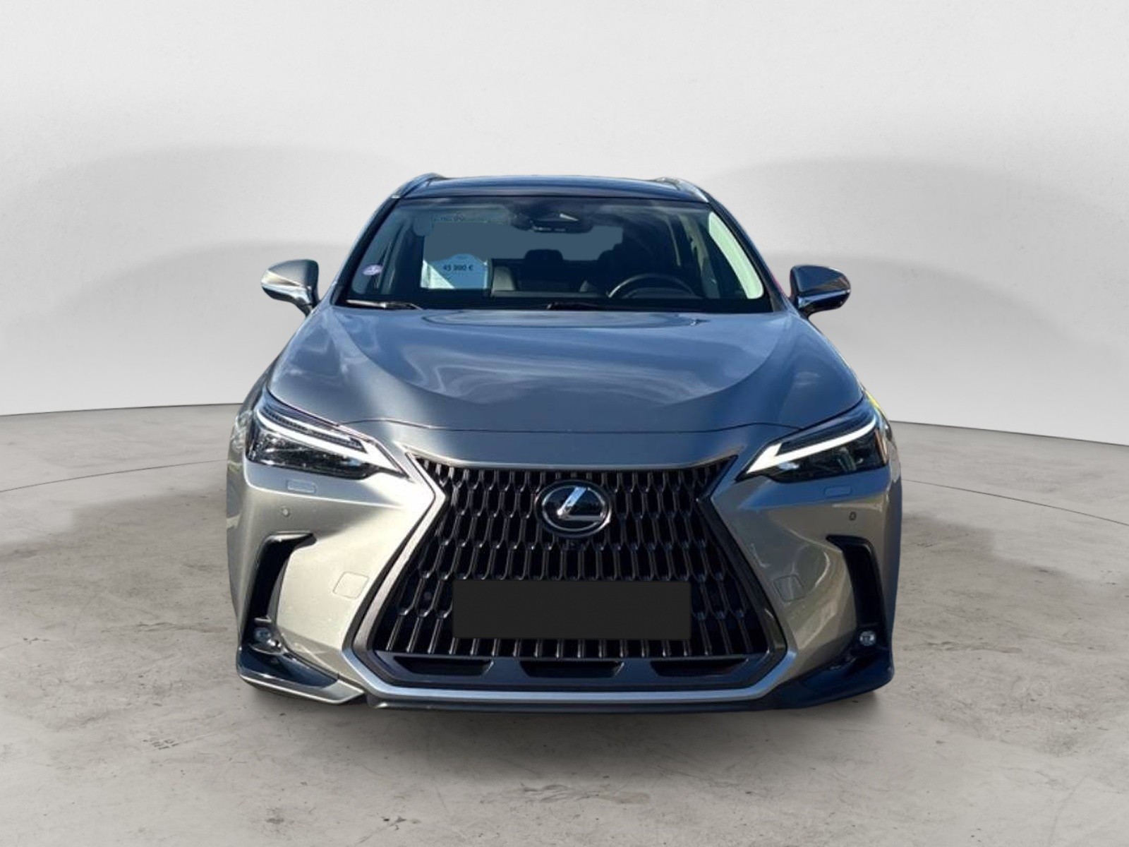 LEXUS - NX - #863433 - 1